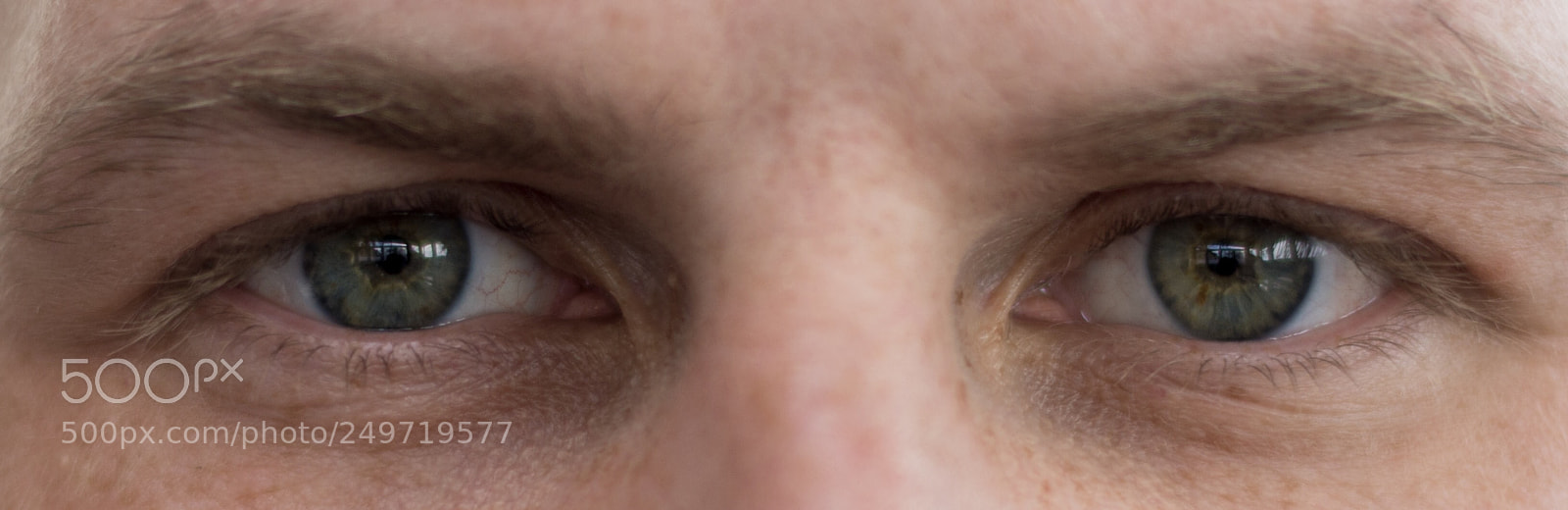 Nikon D7200 sample photo. See things differently photography
