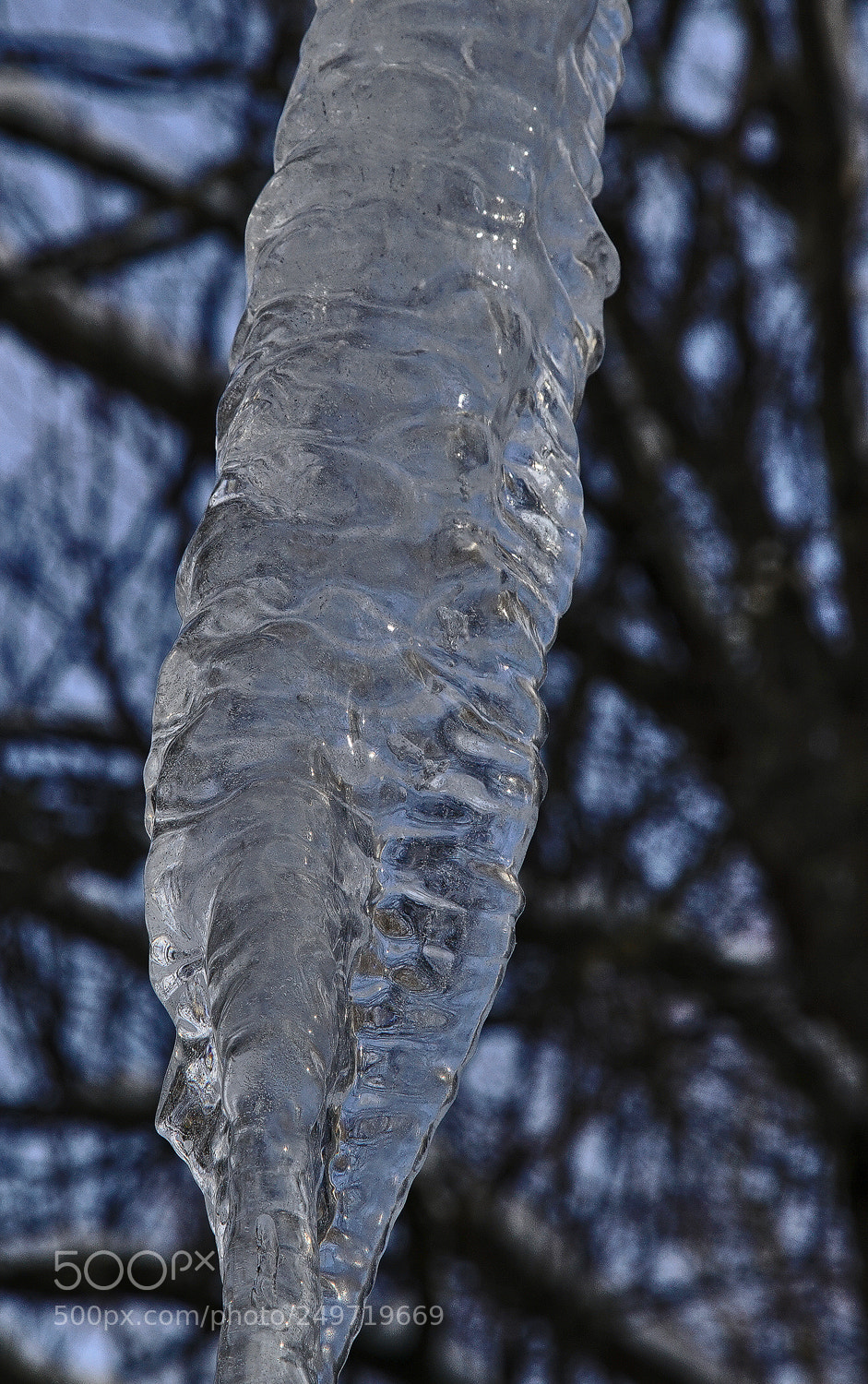 Sony a7R II sample photo. Convoluted ice photography