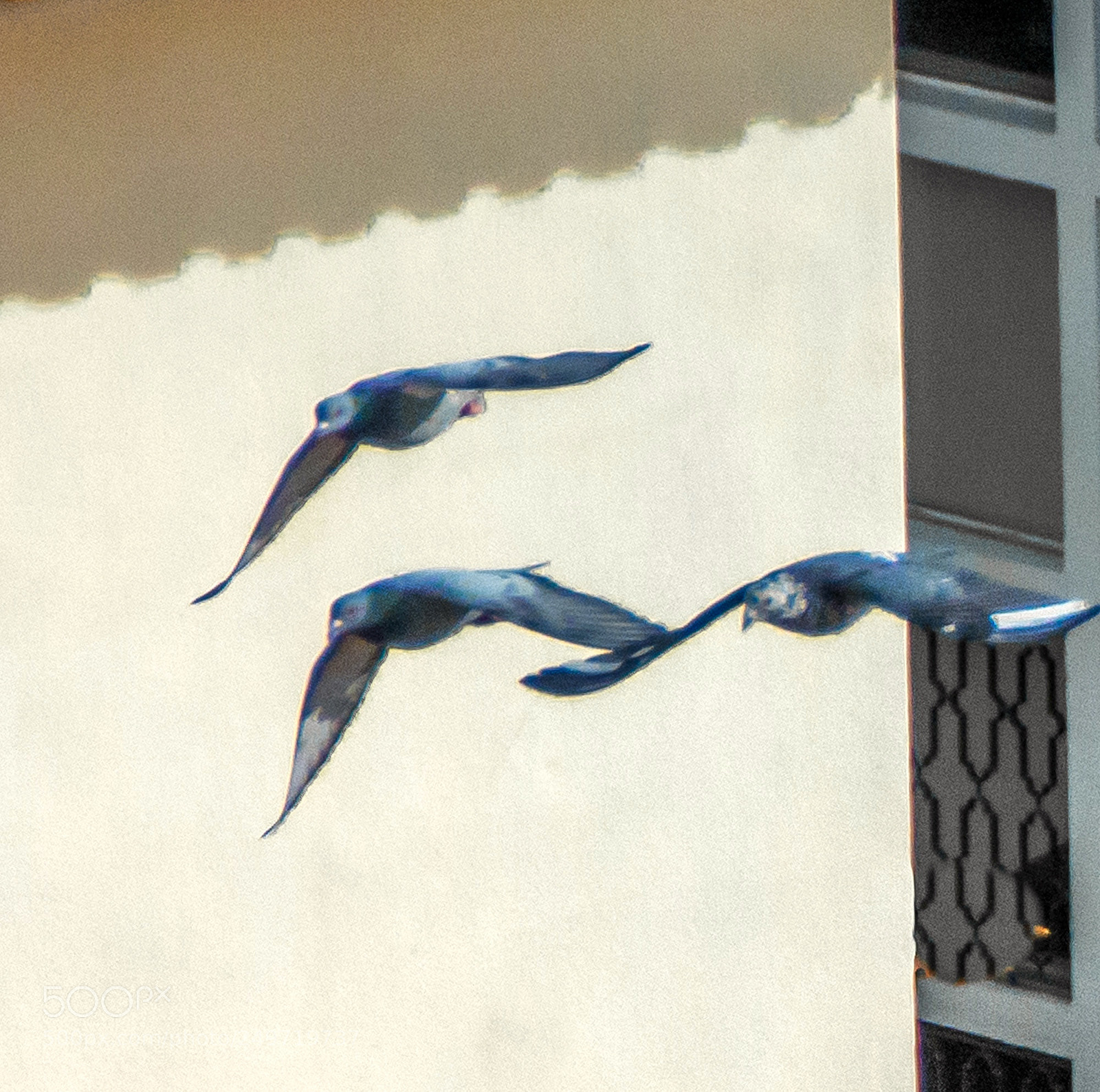 Nikon D5200 sample photo. Tales of life (49) photography