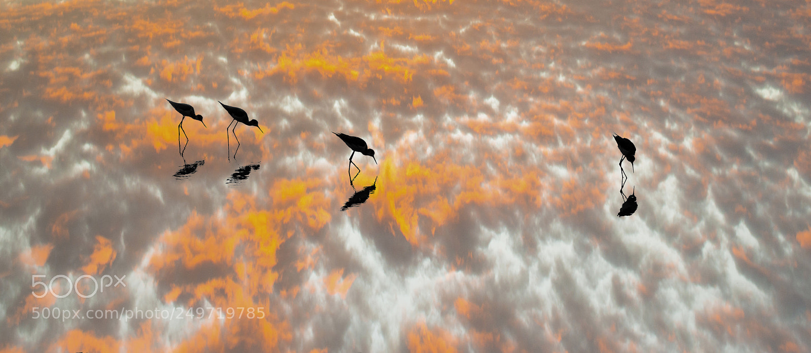 Nikon D5 sample photo. Untitled photography