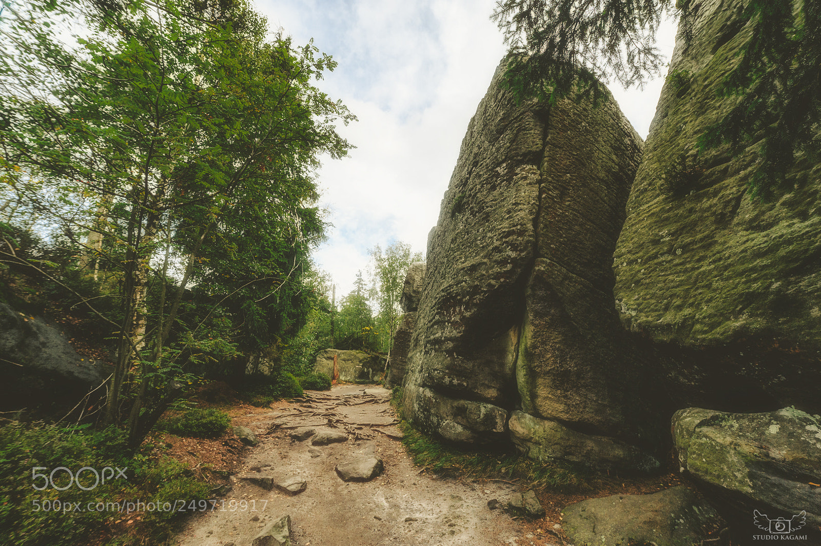 Nikon D700 sample photo. Nature #19 photography