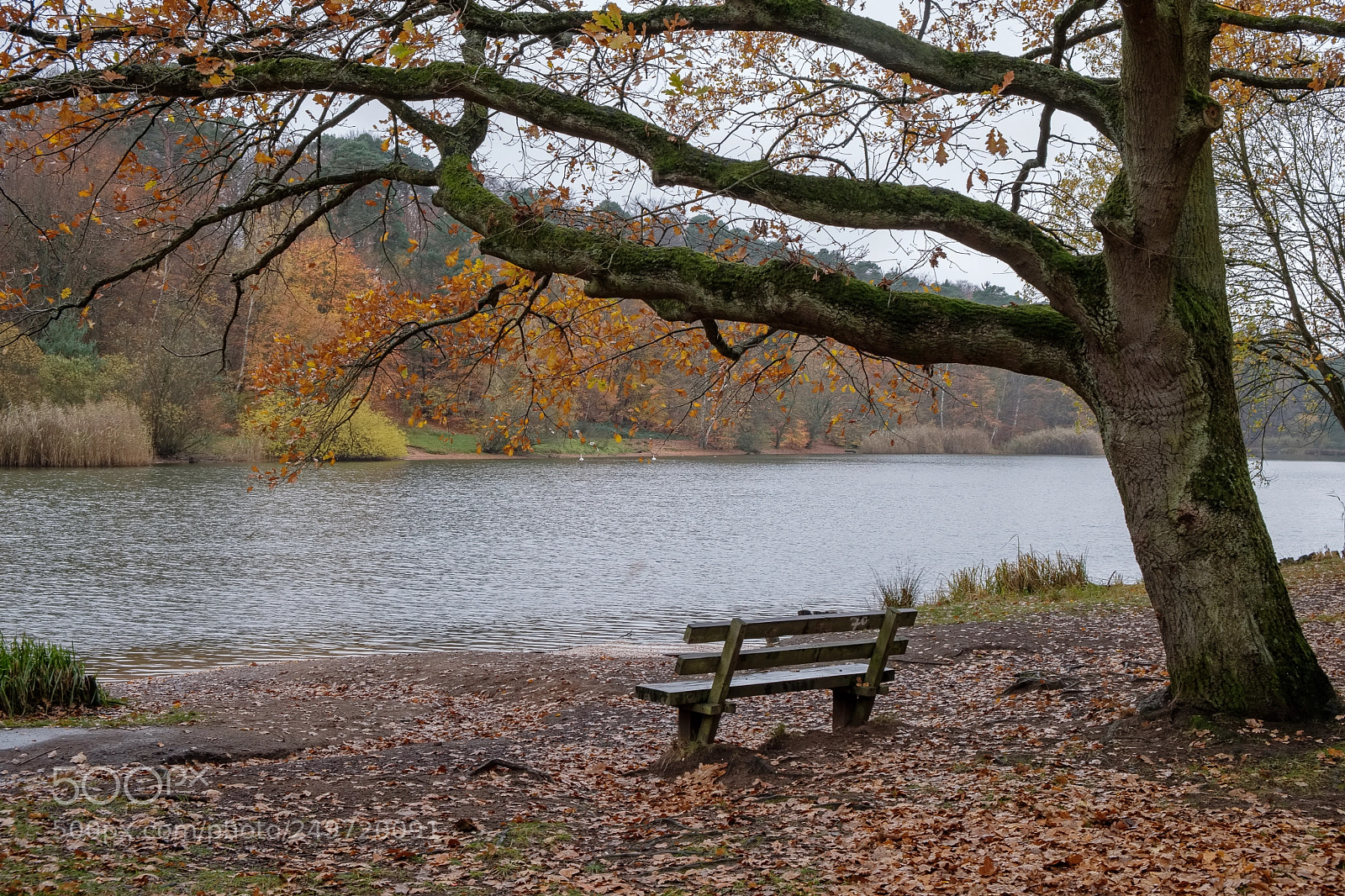 Fujifilm X-T20 sample photo. Take a break.. photography