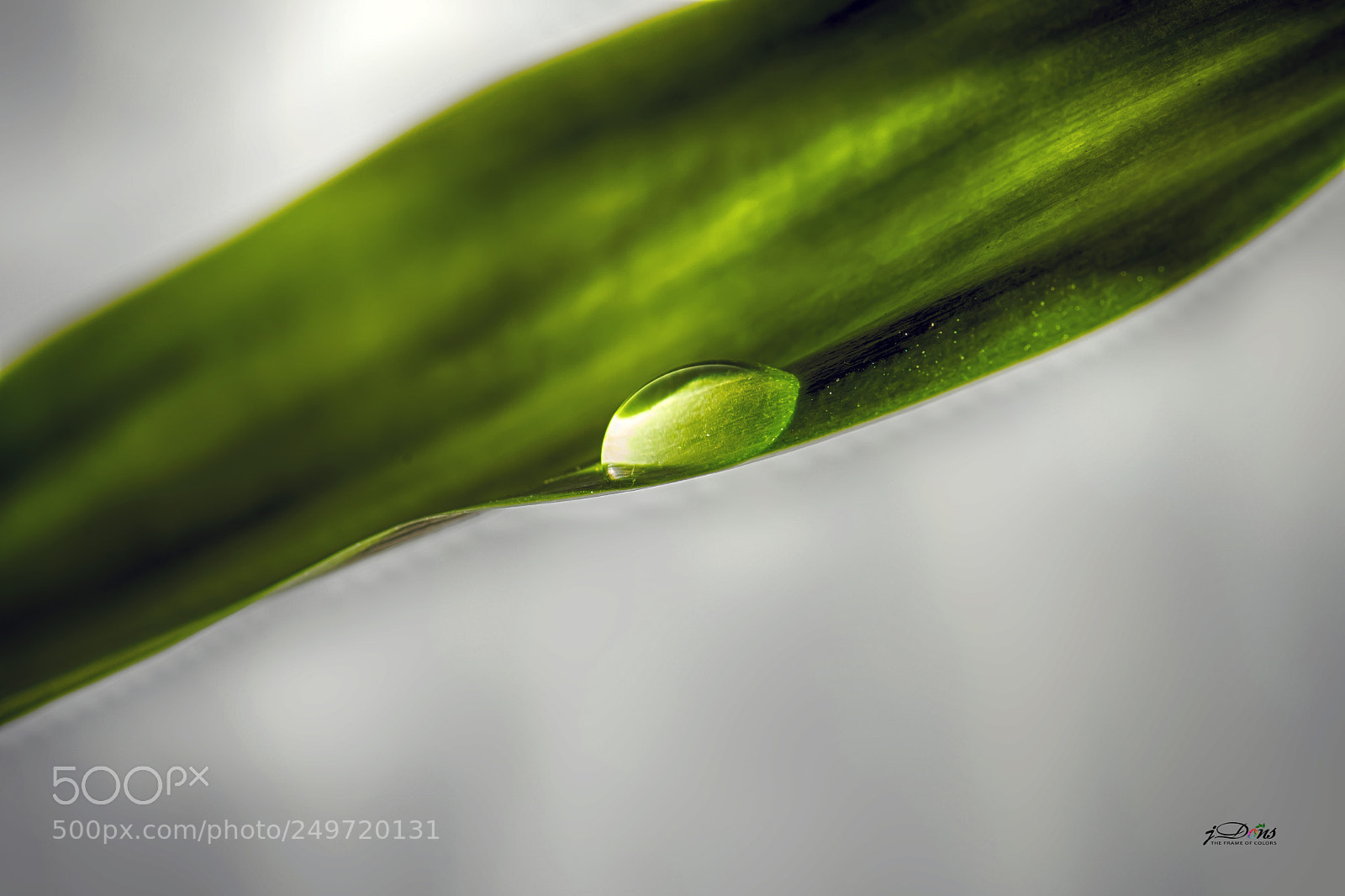 Canon EOS 80D sample photo. Water drop photography