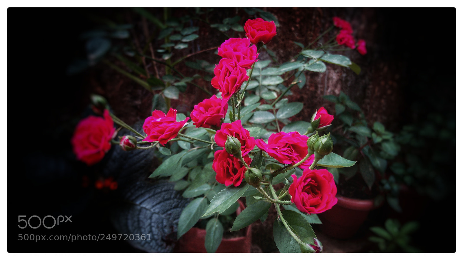 Motorola Moto G (2nd Gen) sample photo. Untitled photography