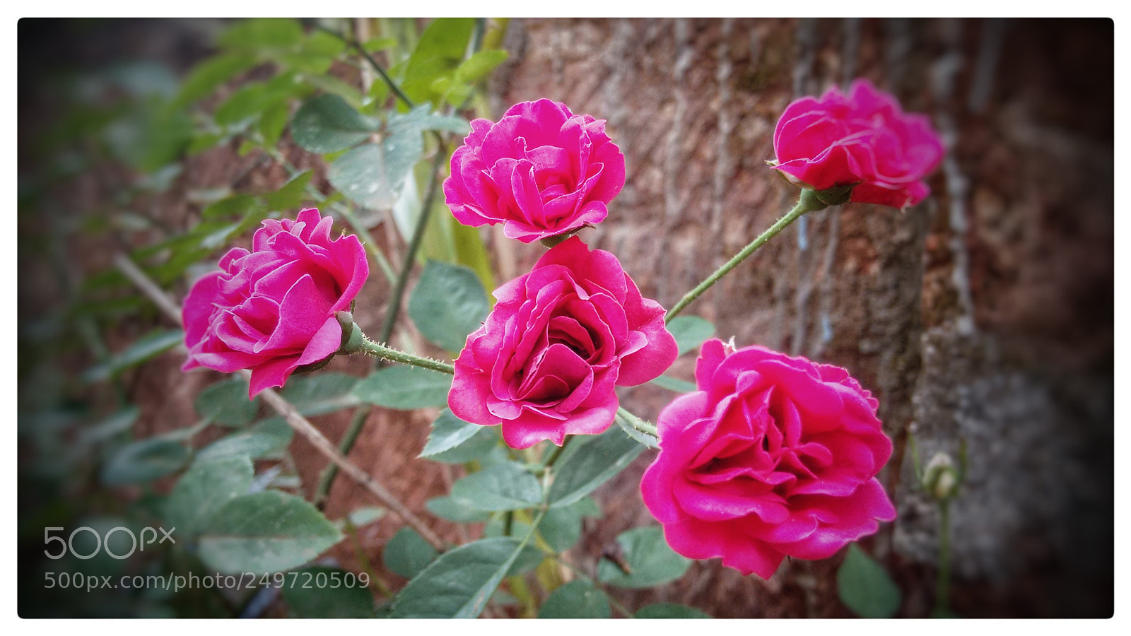 Motorola Moto G (2nd Gen) sample photo. Untitled photography