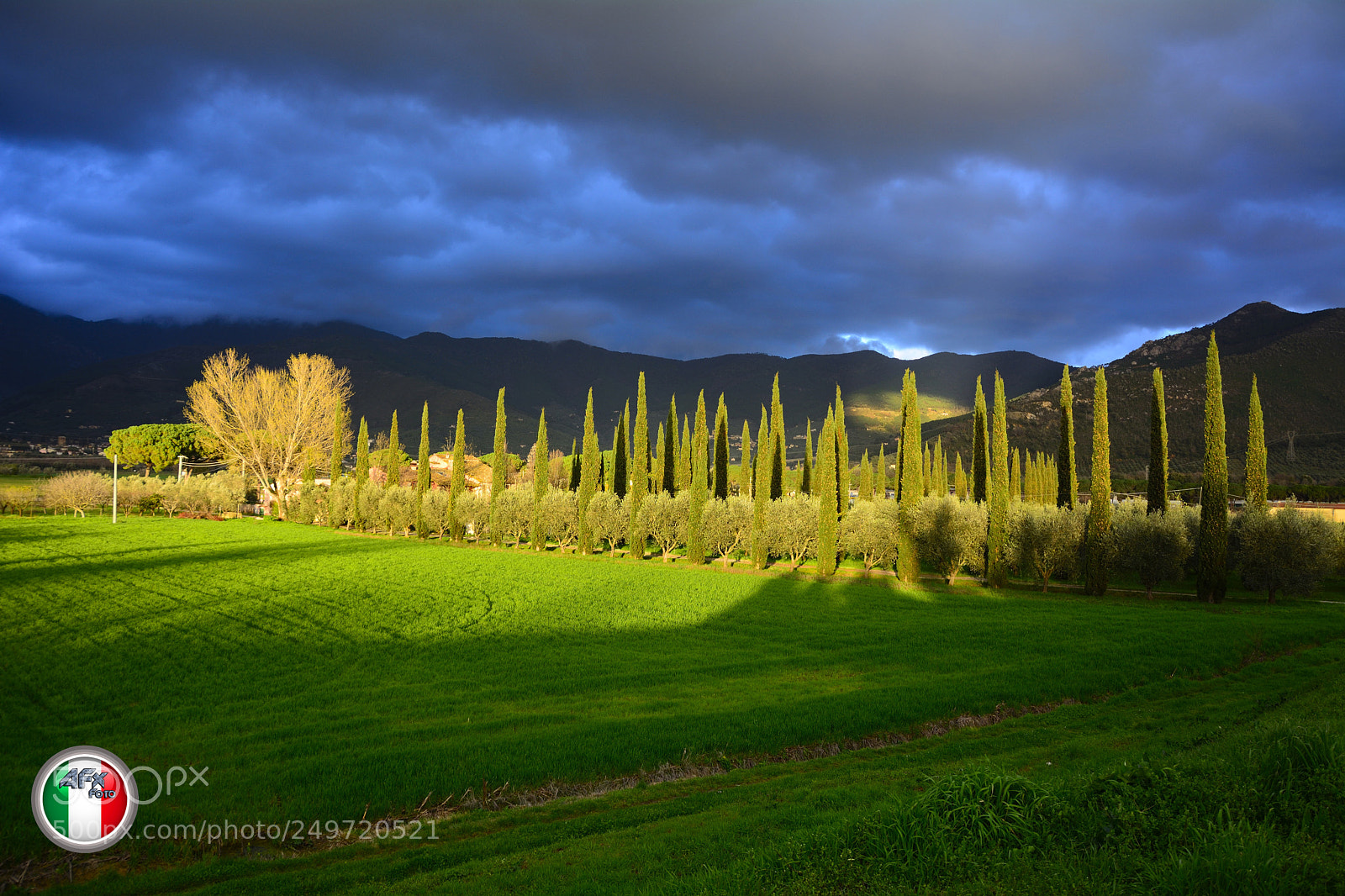 Nikon D7100 sample photo. Luci colori e ombre photography