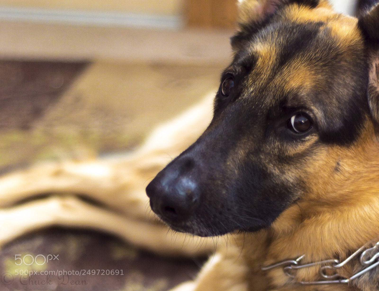 Nikon D3200 sample photo. Don't bother me3 photography