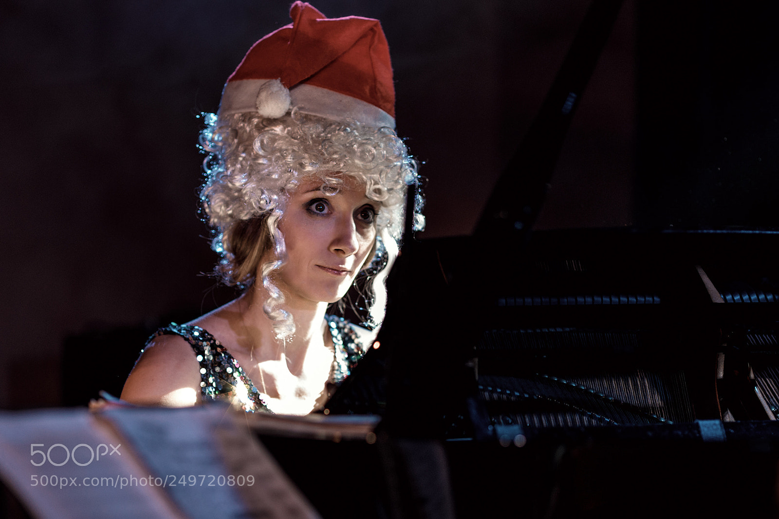 Canon EOS 5D Mark IV sample photo. Christmas doll photography