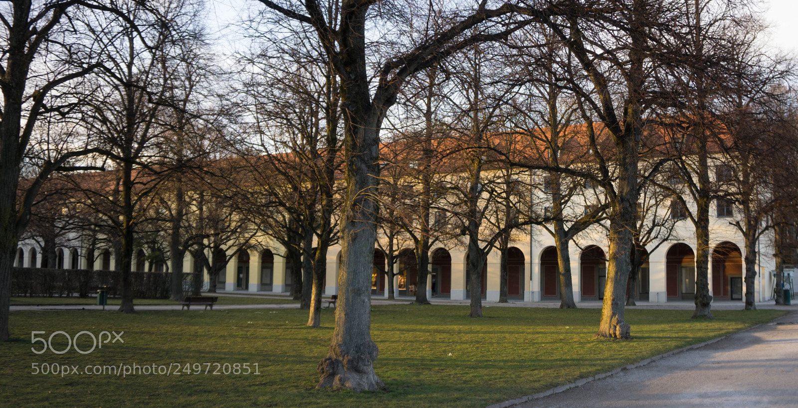 Sony a6000 sample photo. Sunset in hofgarten photography