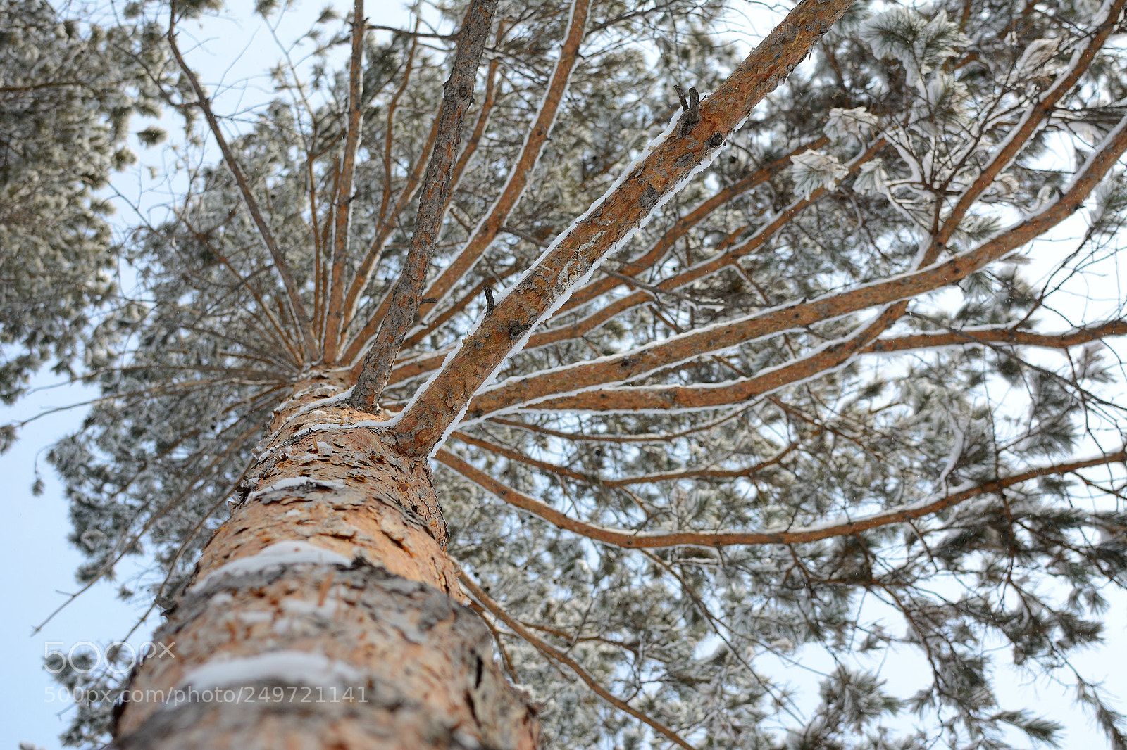 Nikon D7100 sample photo. Ph_1975 photography