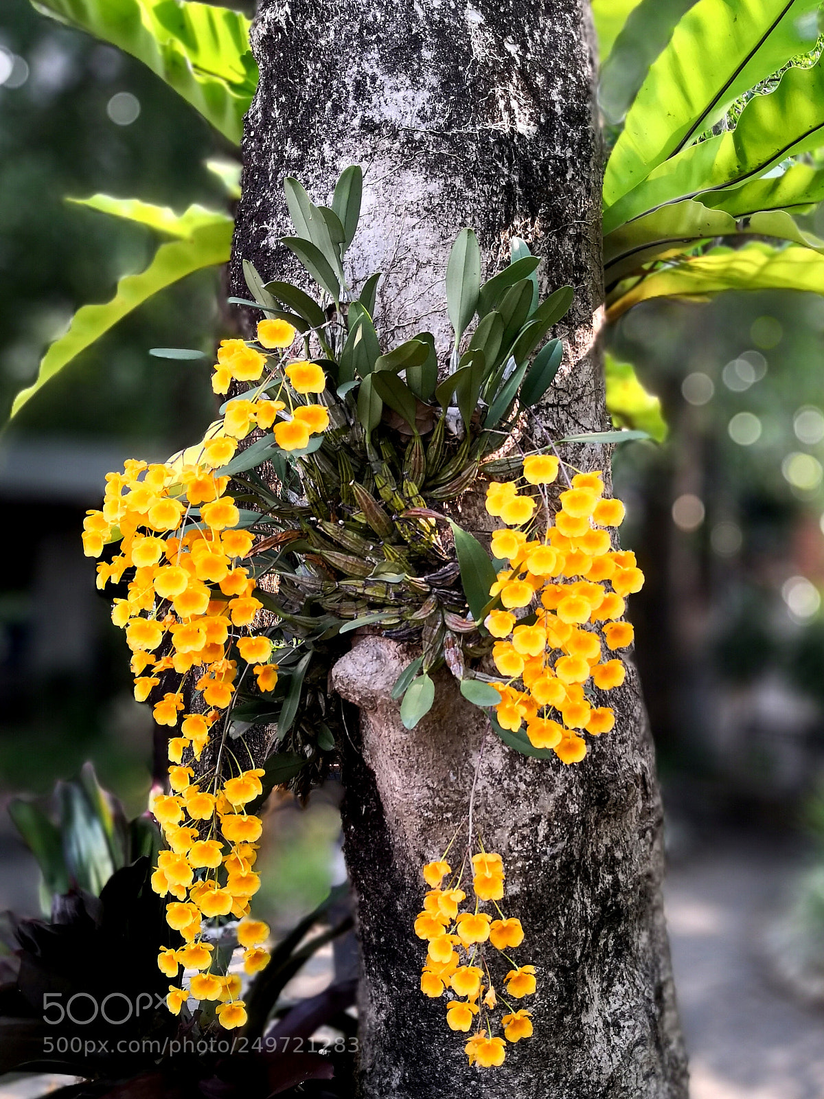 HUAWEI Mate 10 sample photo. Untitled photography