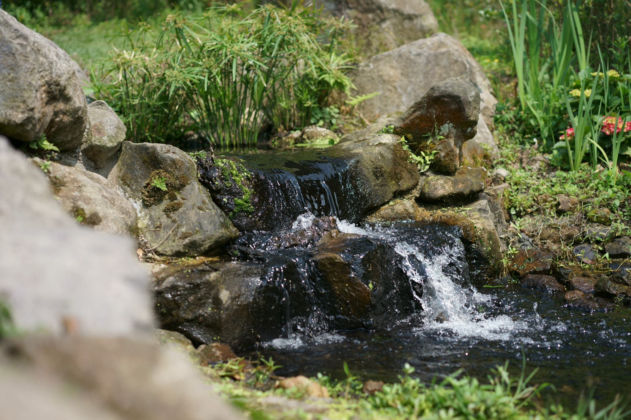 Sony a7 II + Sony Sonnar T* FE 55mm F1.8 ZA sample photo. Waterfall photography