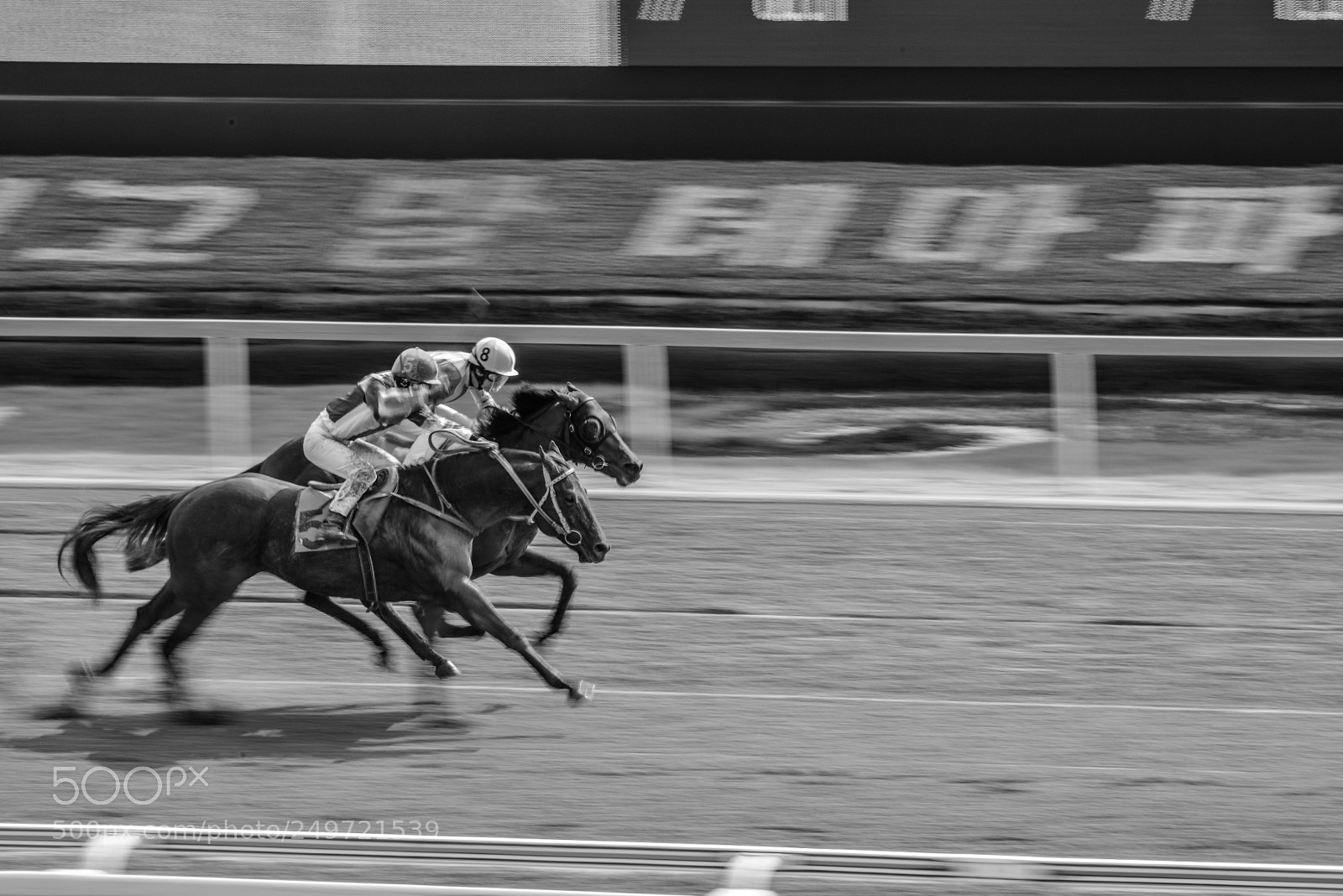Nikon D800 sample photo. Who was winner? photography