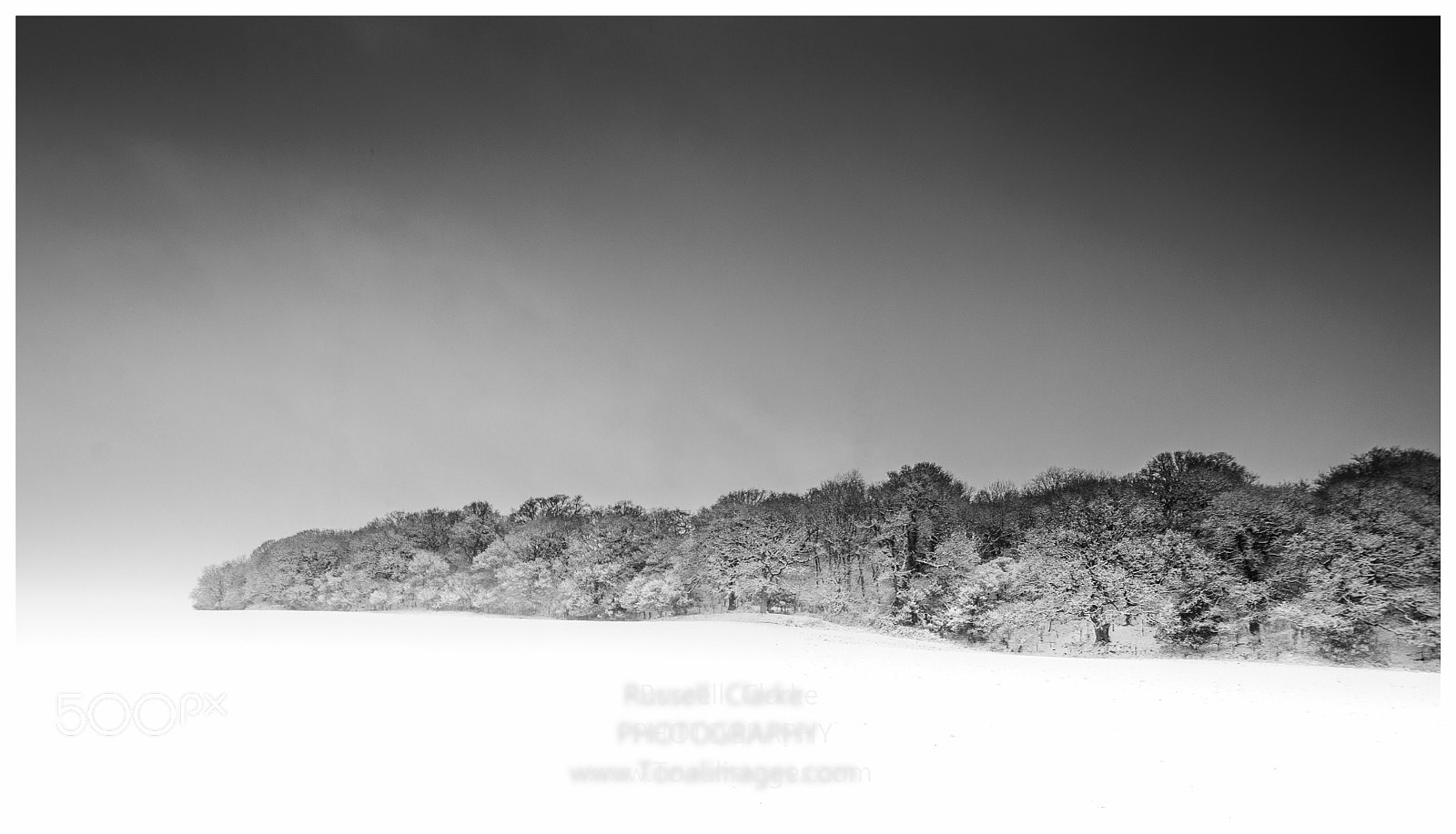 Nikon D700 sample photo. Black and white photography