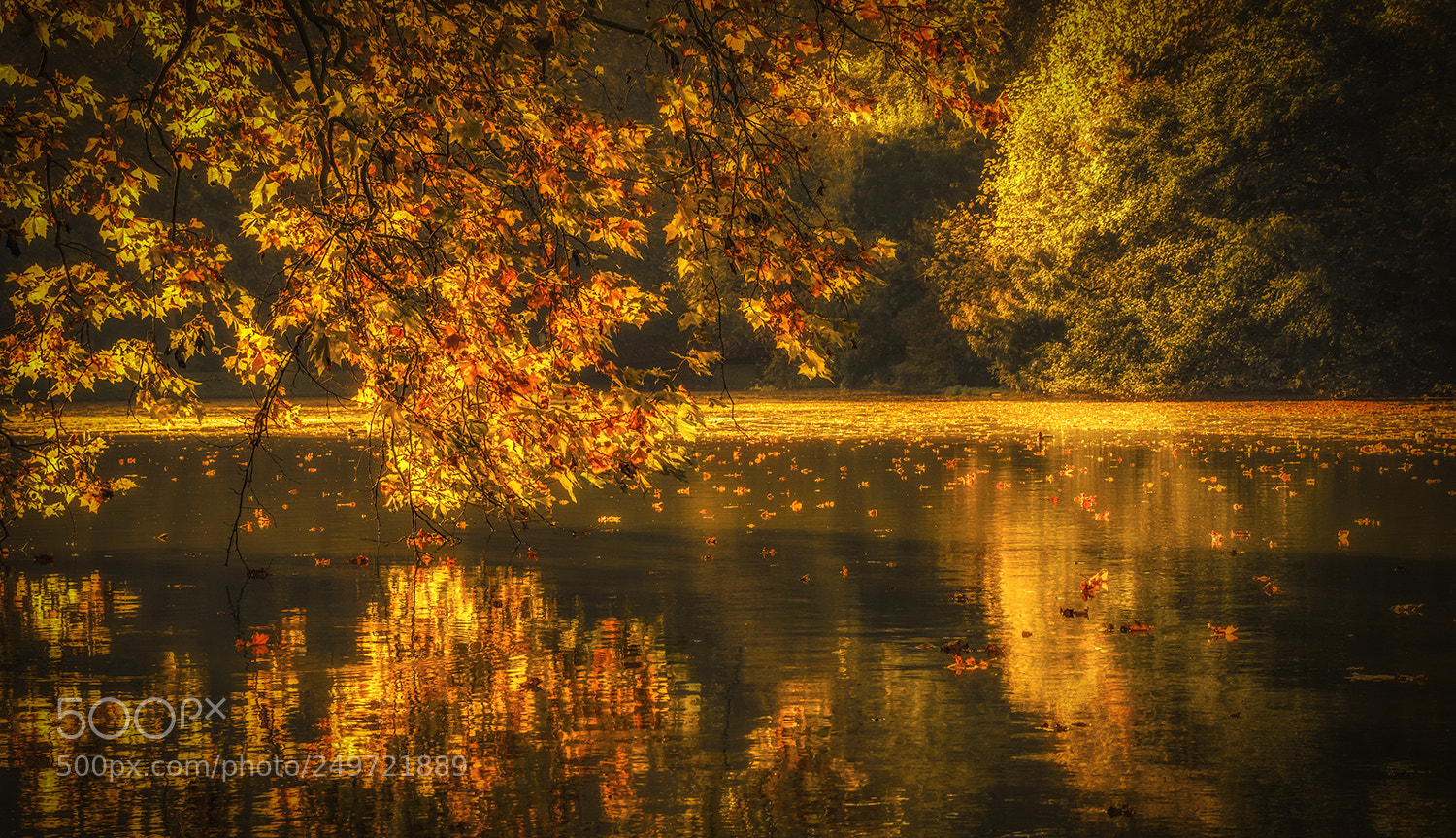 Sony ILCA-77M2 sample photo. The lake photography
