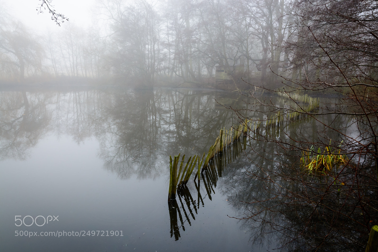 Nikon D7100 sample photo. Stillness photography