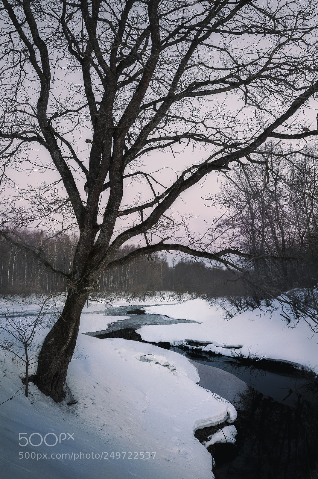 Nikon D90 sample photo. The beginning of spring photography