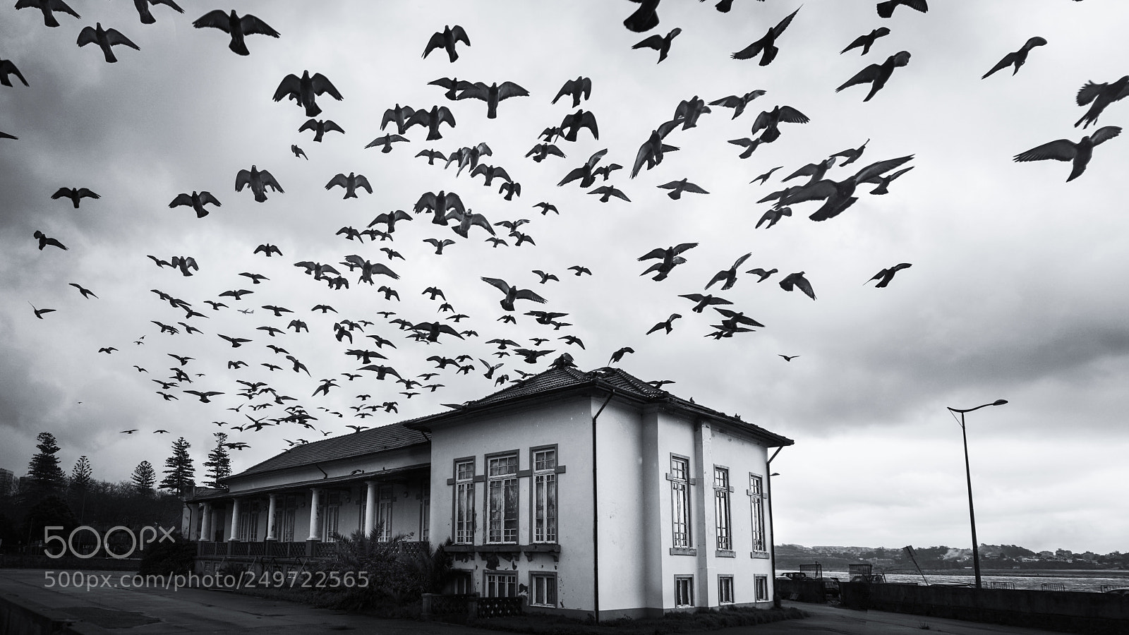 Sony a7 II sample photo. Hurry! hurry! photography