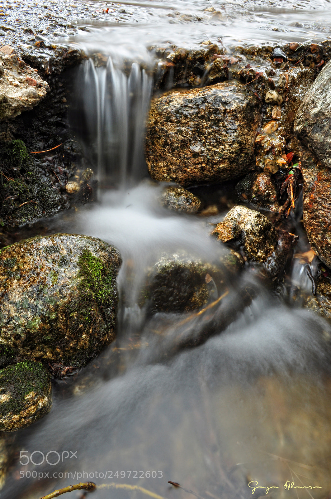 Nikon D5000 sample photo. Agua viva photography