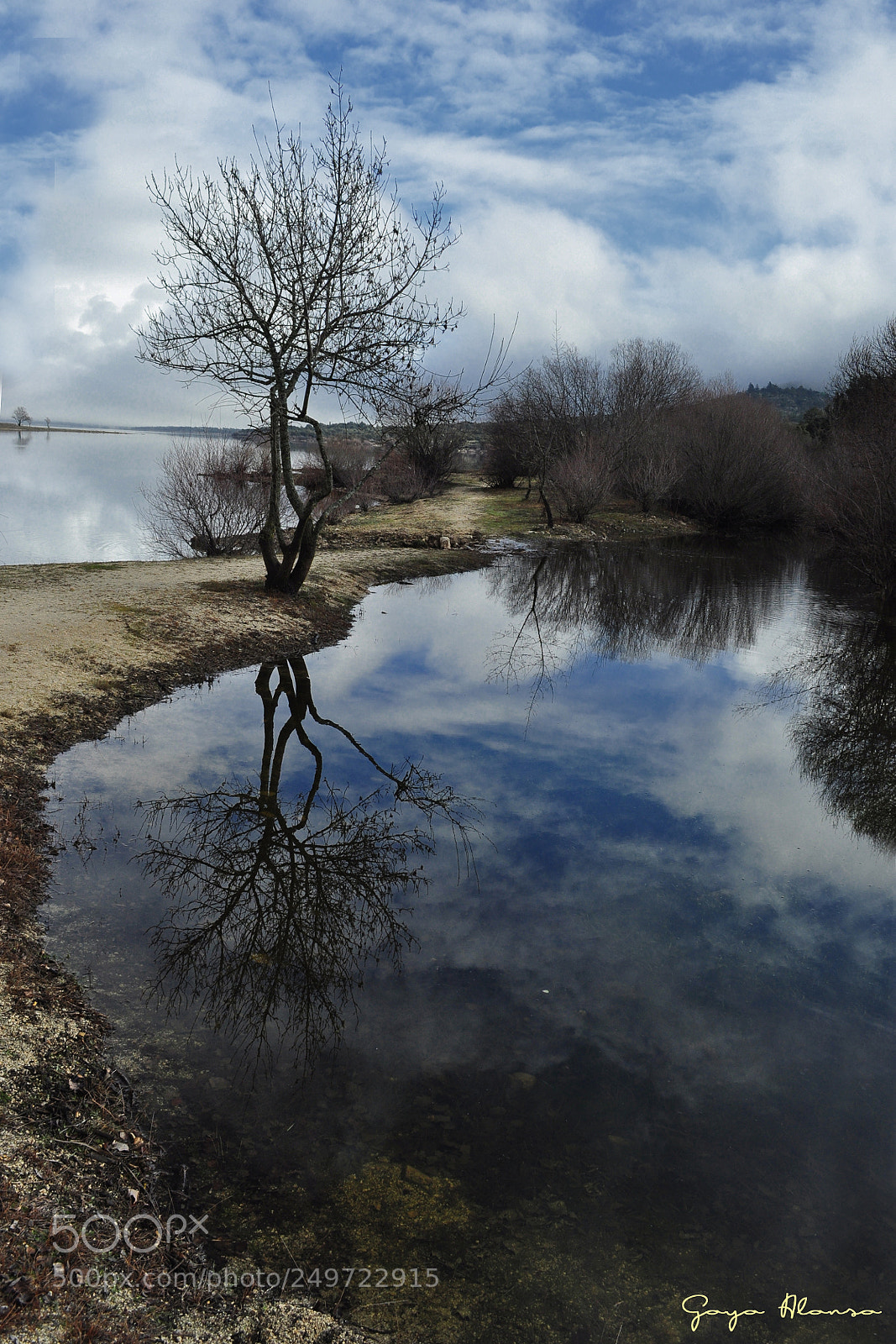 Nikon D5000 sample photo. Reflejo photography