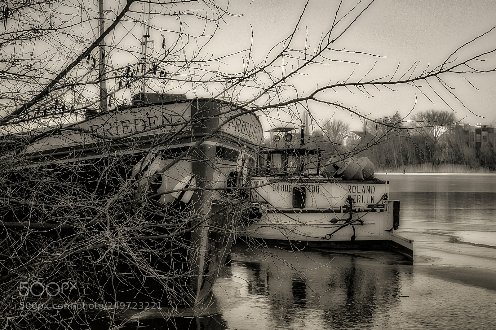 Nikon D3300 sample photo. ... march 2018 stralau ... photography