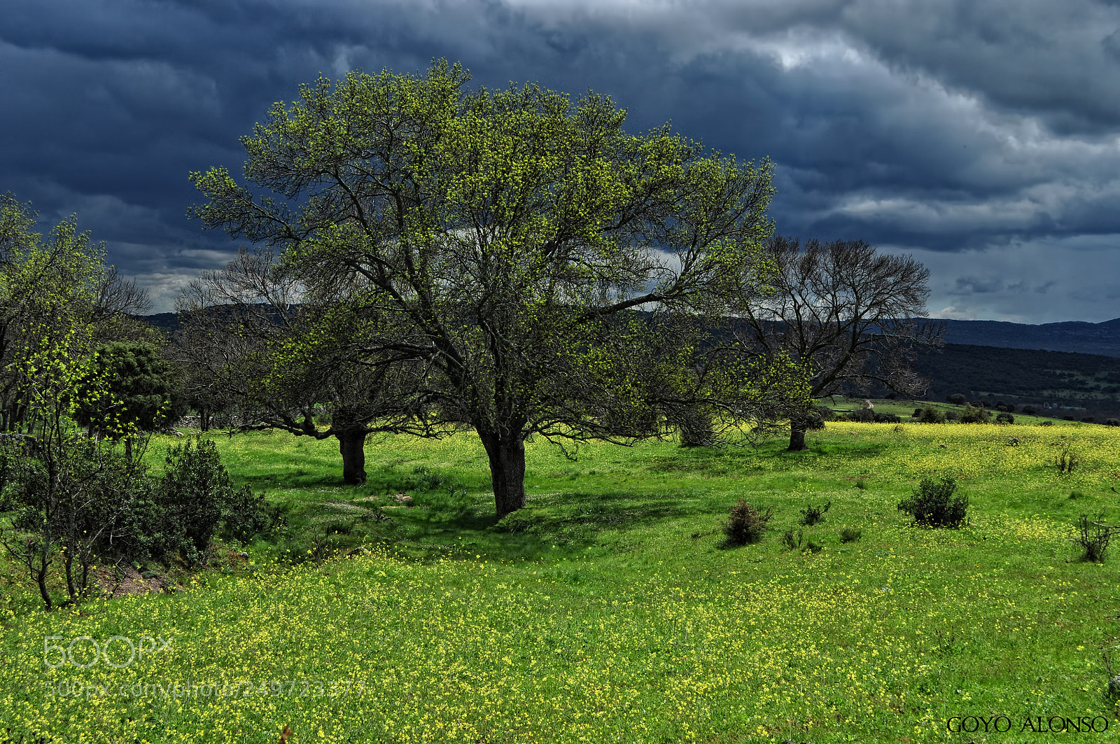 Nikon D5000 sample photo. Nubes negras photography