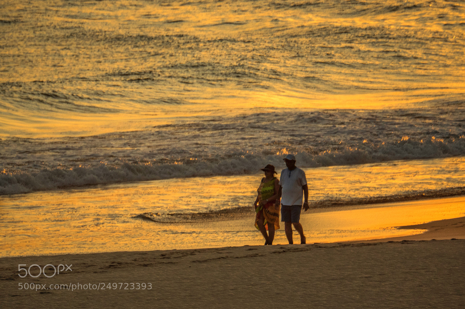 Olympus OM-D E-M5 II sample photo. The golden dusk photography