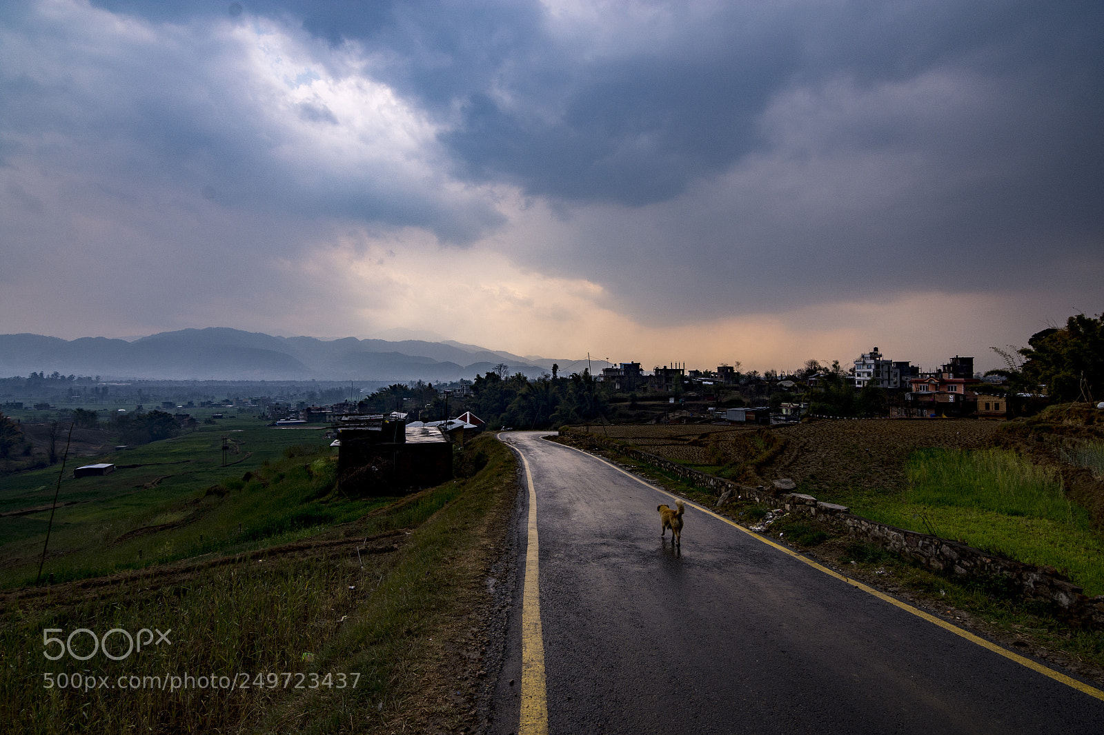 Nikon D7200 sample photo. The road less travelled photography
