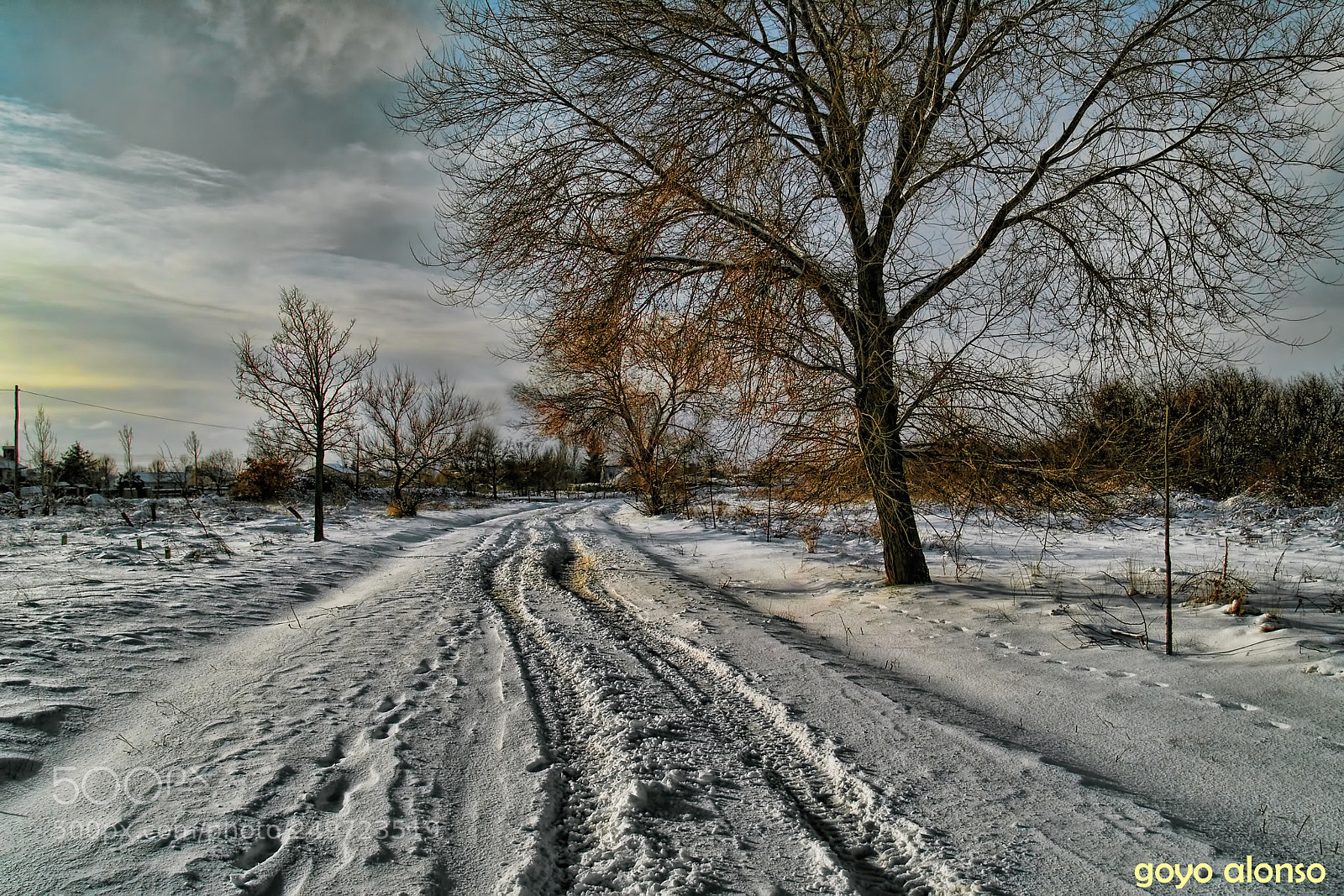 Olympus E-500 (EVOLT E-500) sample photo. Nieve photography