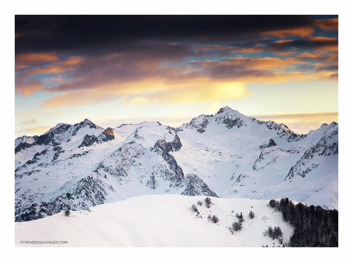 Canon EOS 5D Mark IV sample photo. Winter lights photography