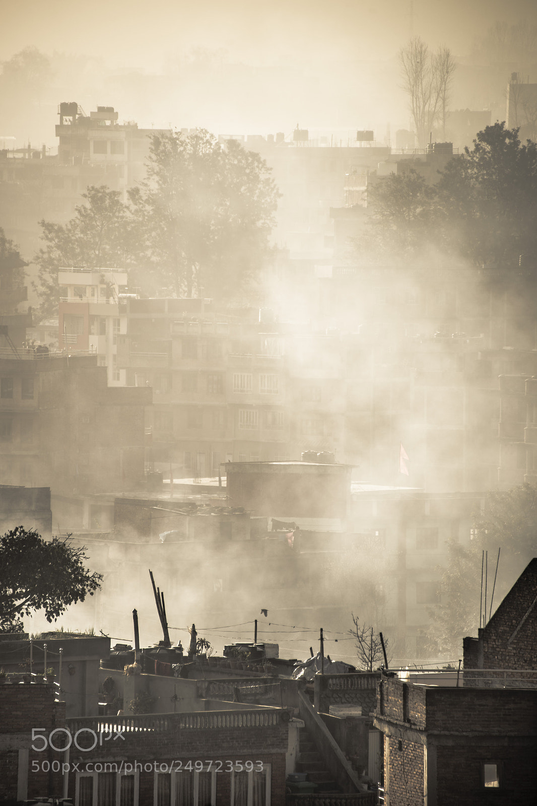 Nikon D610 sample photo. Fog photography
