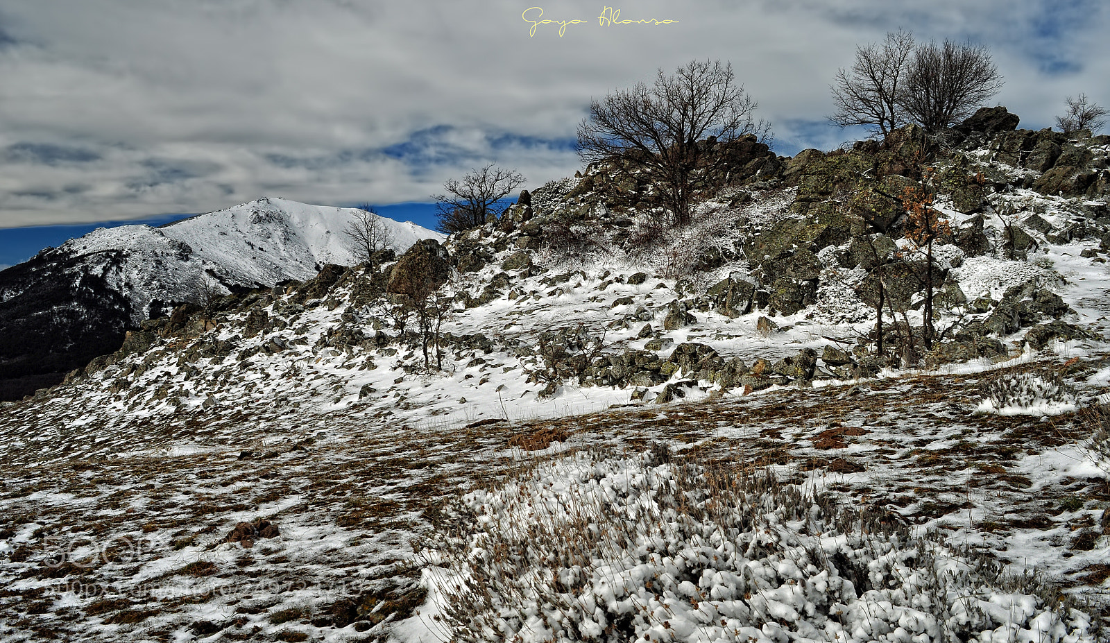 Nikon D5000 sample photo. Perdiguera photography