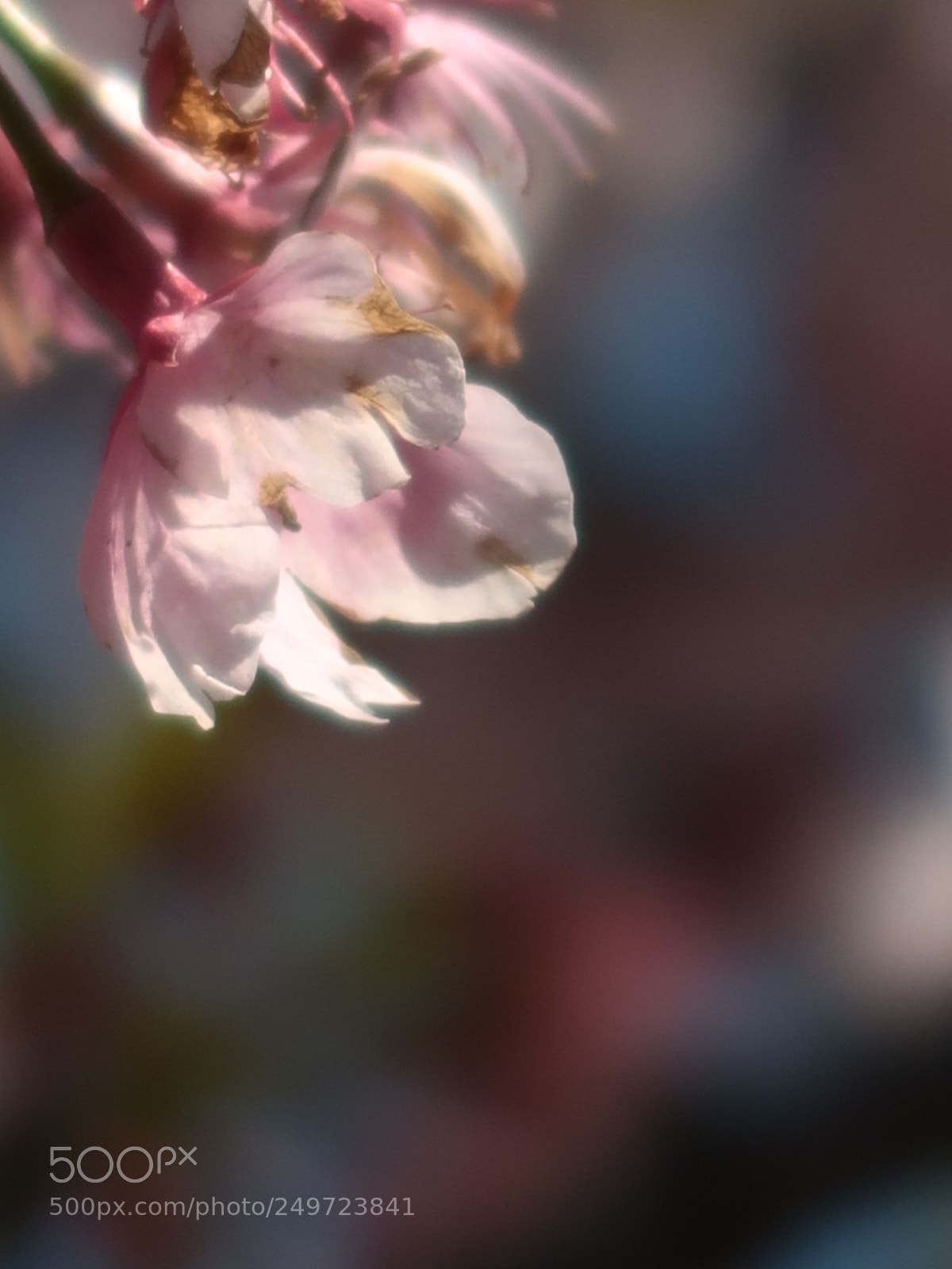 Canon PowerShot G7 X Mark II sample photo. Img photography