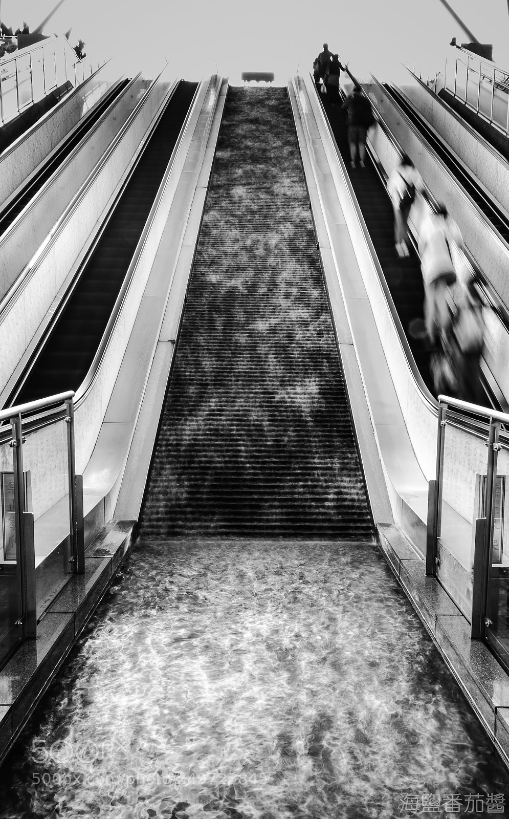 Nikon D5100 sample photo. In motion photography