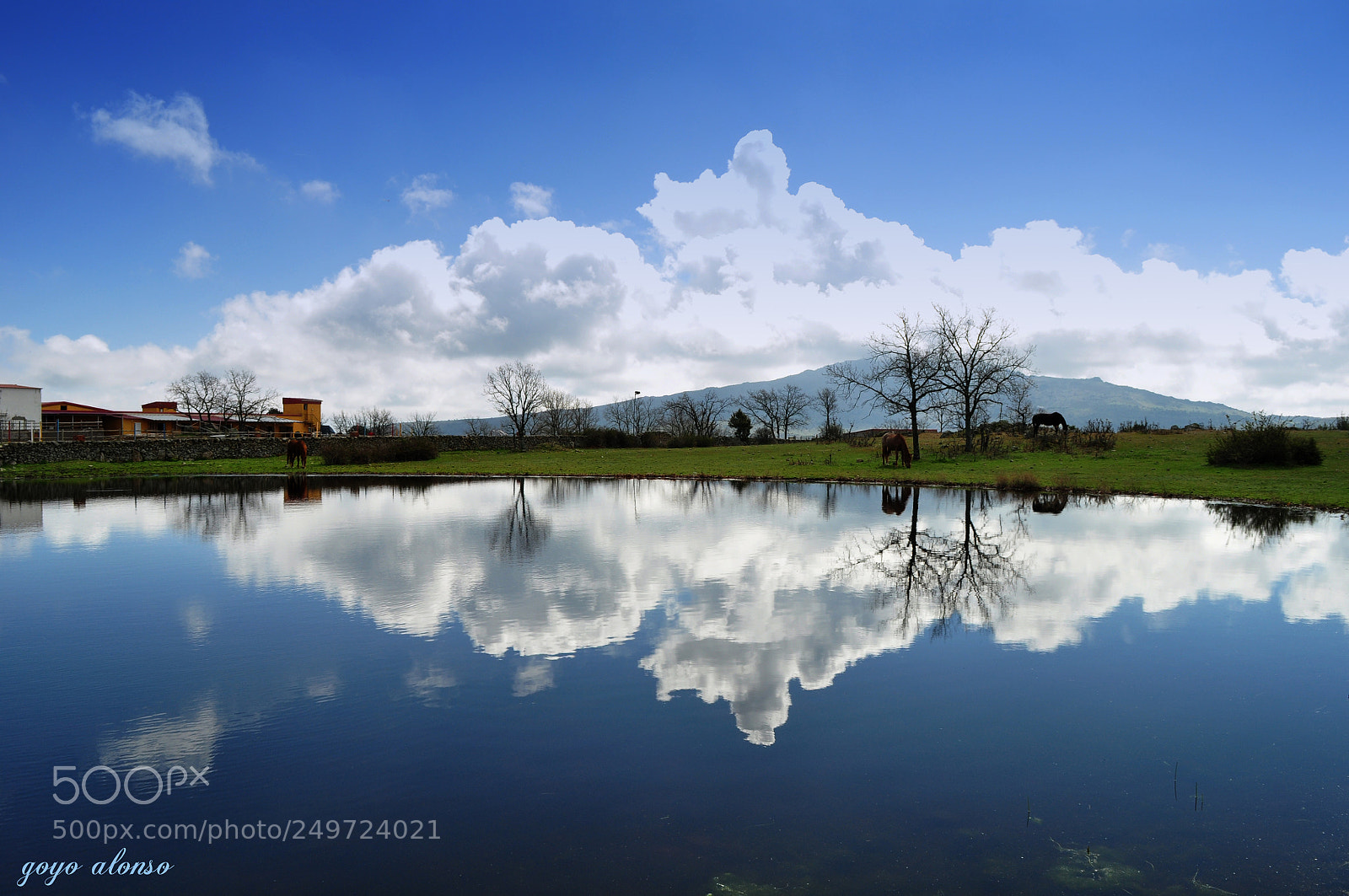 Nikon D5000 sample photo. Embalse photography