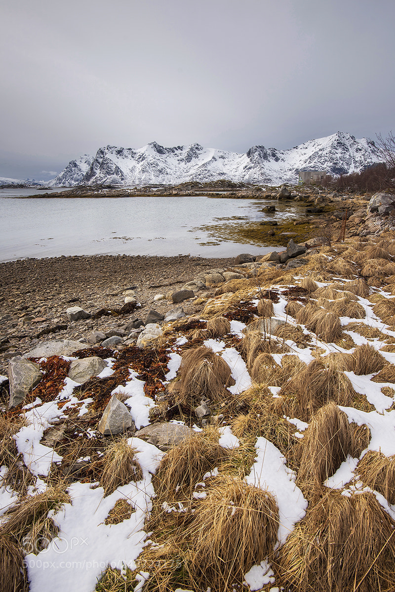 Nikon D810 sample photo. Lofoten photography