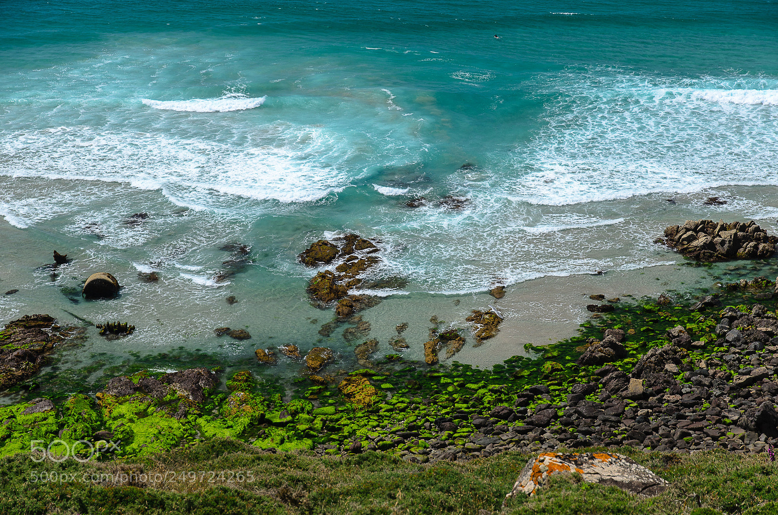 Nikon D7000 sample photo. Orange and shades of photography