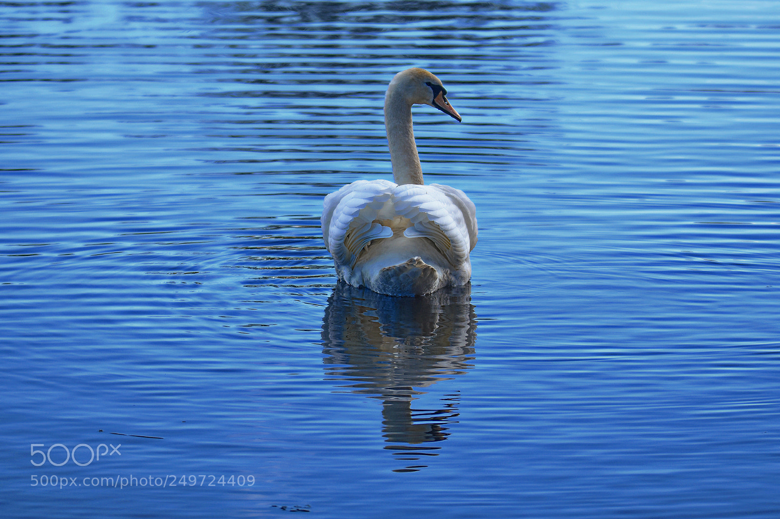 Nikon D7200 sample photo. Logie pe photography