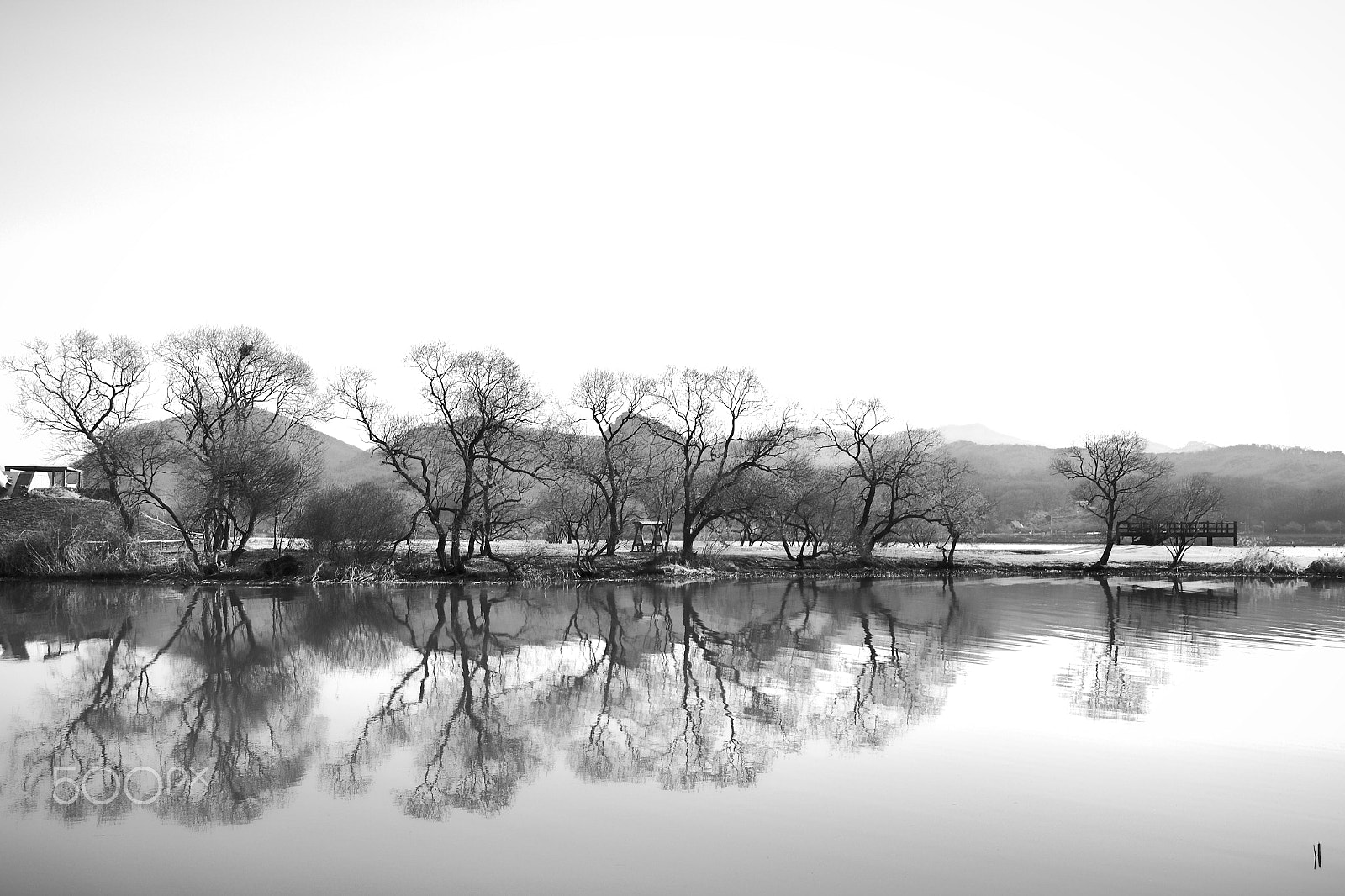 Nikon D500 sample photo. Reflection photography