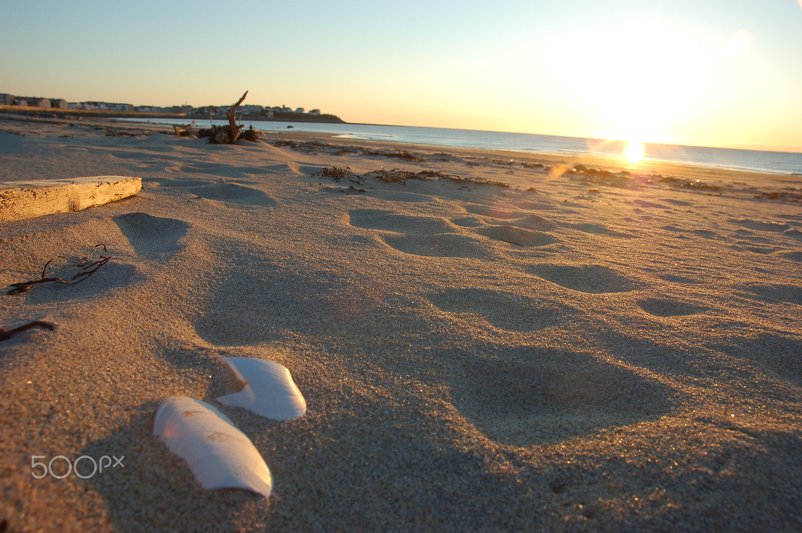 Nikon D50 sample photo. Sandy shores photography