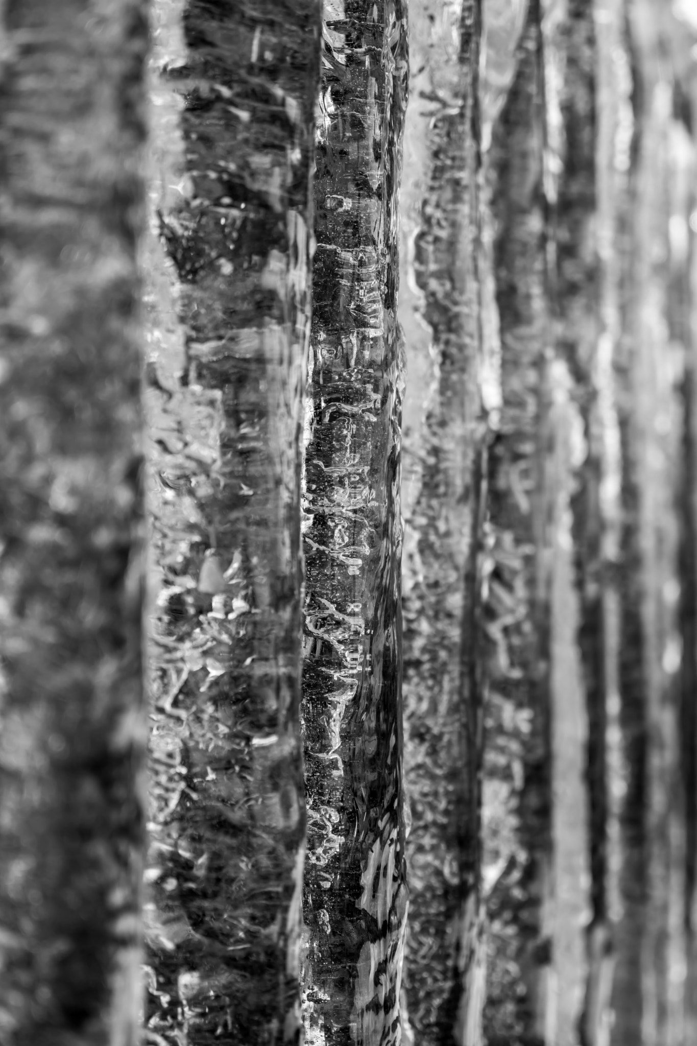 Leica TL2 sample photo. Icicles photography