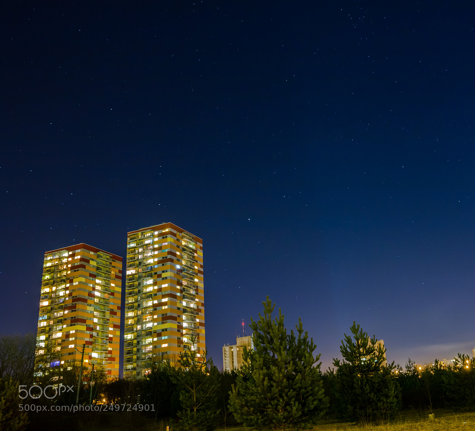 Canon EOS 70D sample photo. Heremouse photography