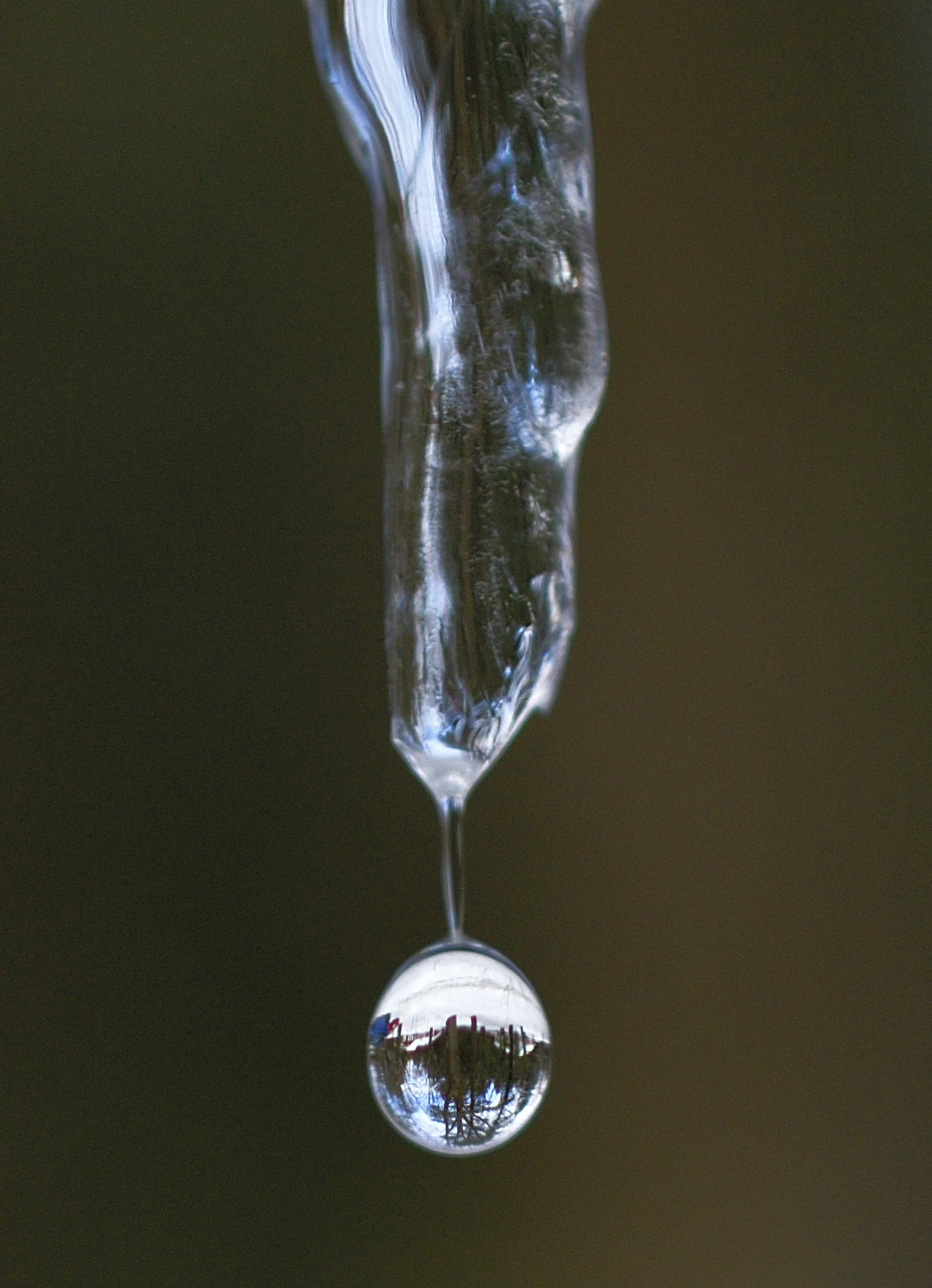 Nikon AF-S DX Micro Nikkor 40mm F2.8 sample photo. Spring. one drop at a time photography