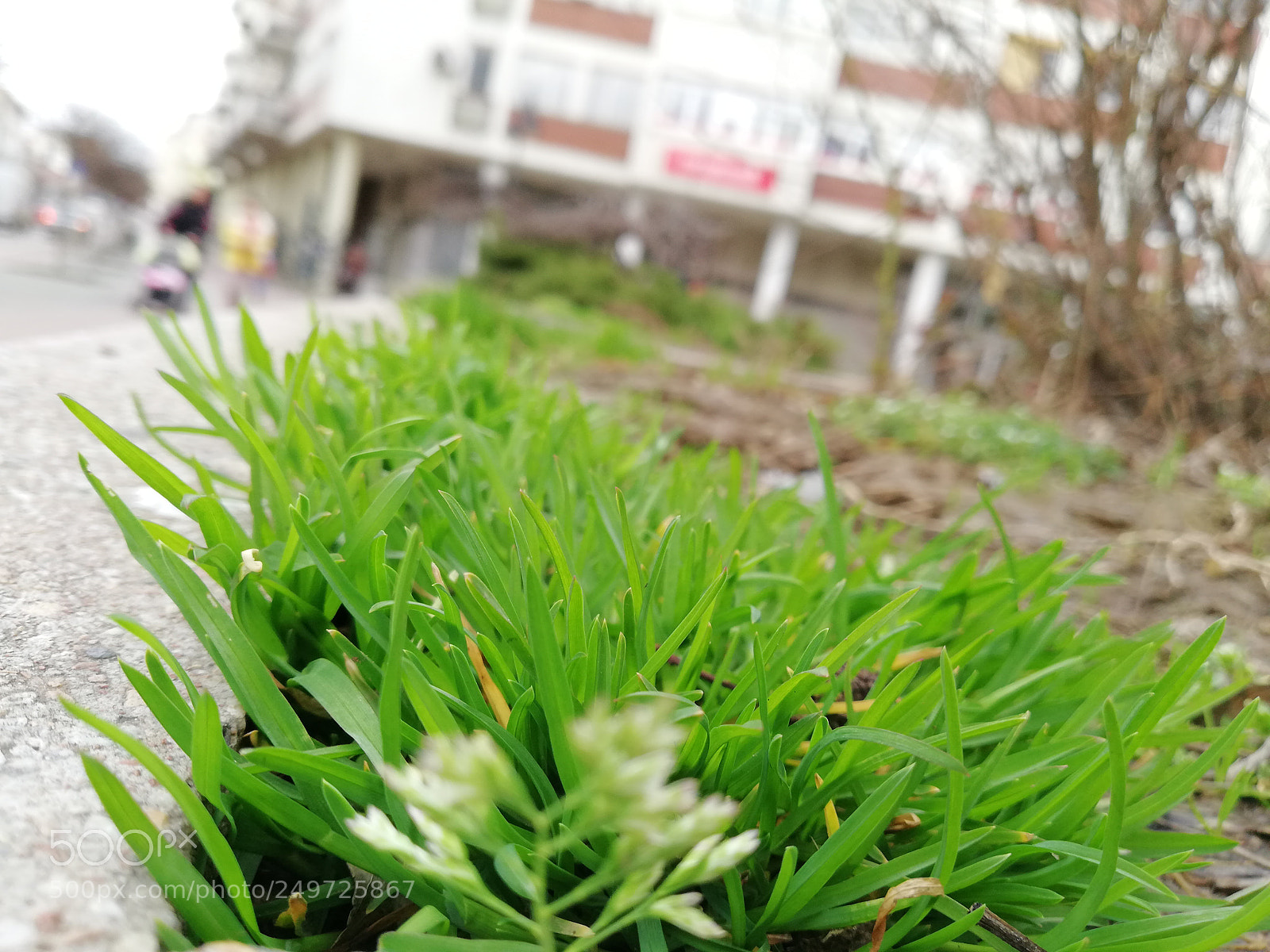 HUAWEI Mate 10 Lite sample photo. Untitled photography