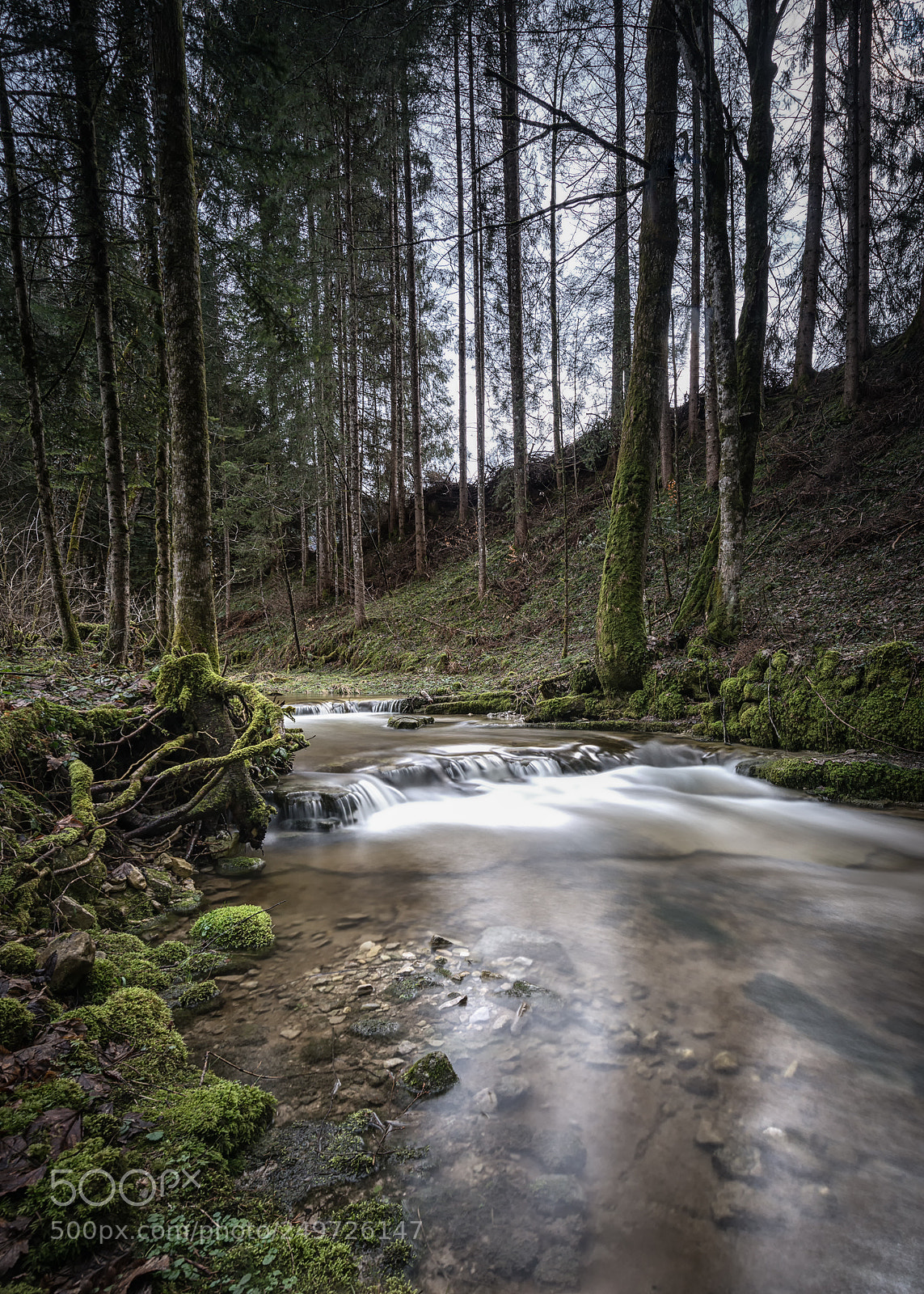 Nikon D800 sample photo. Flußlandschaft photography