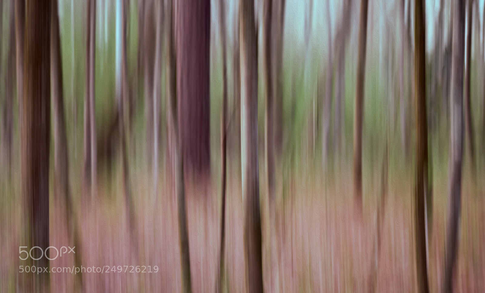 Fujifilm X-T2 sample photo. Abstract trees photography