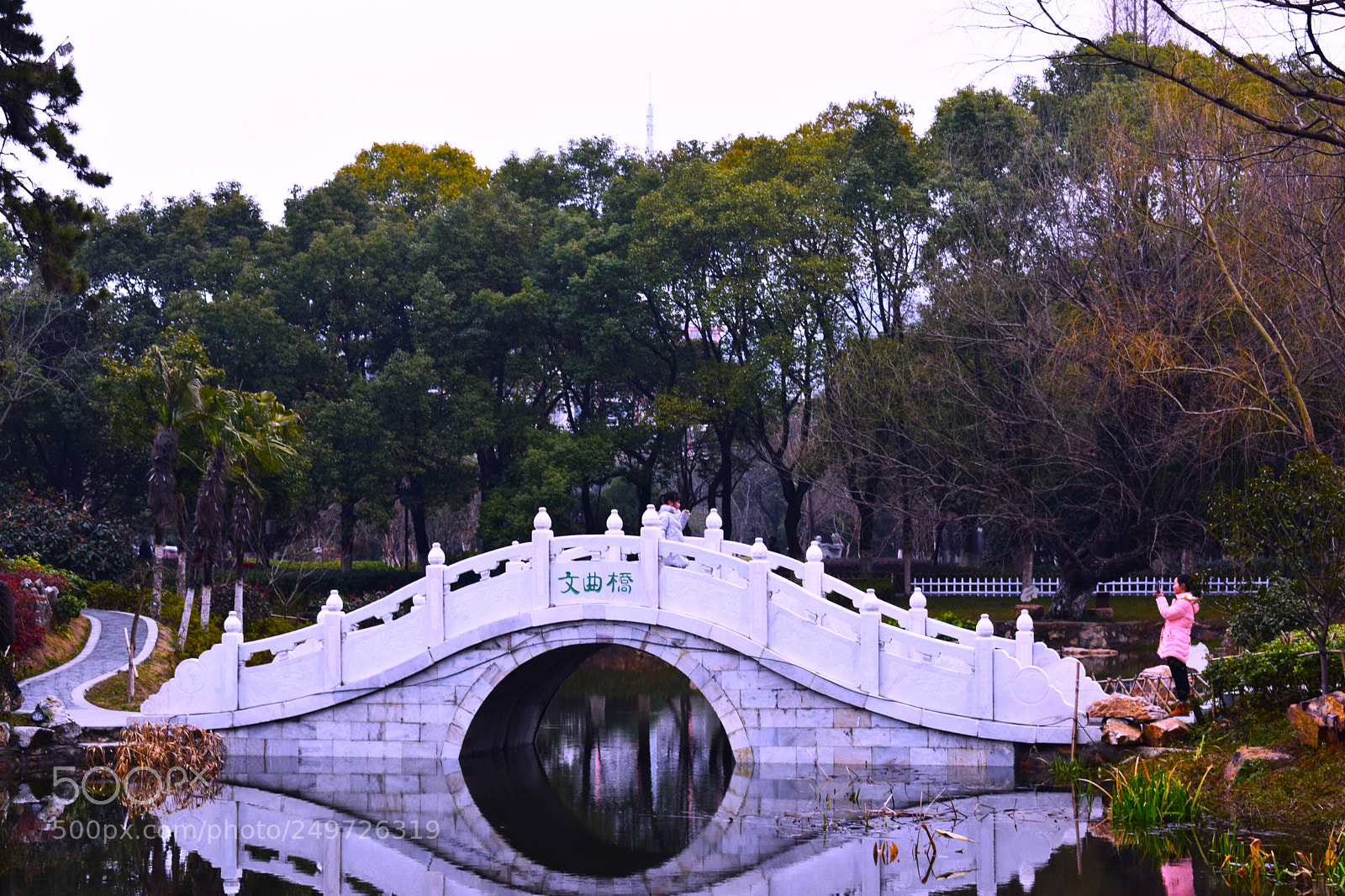 Nikon D5300 sample photo. Dsc photography