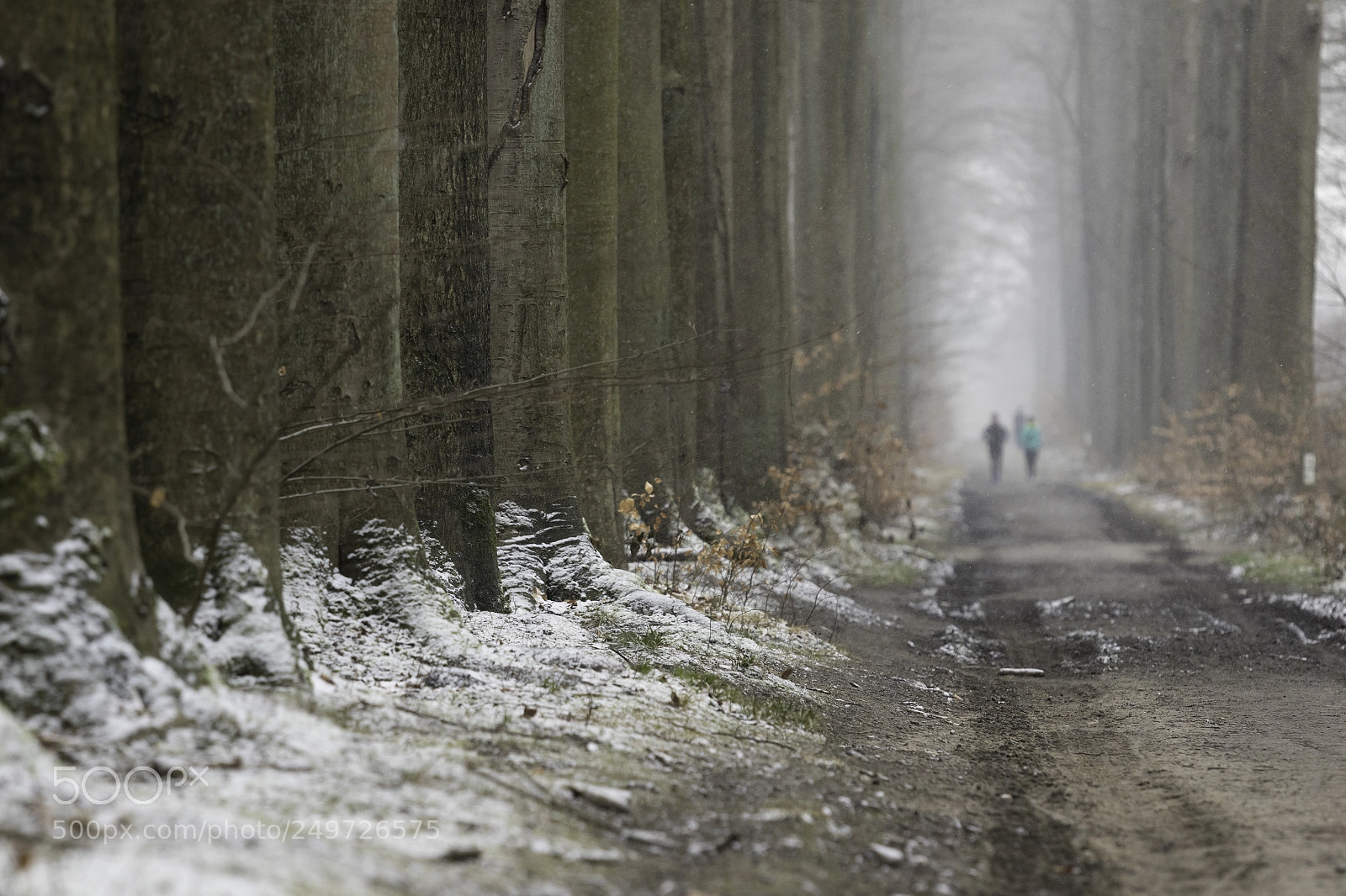 Canon EOS 7D Mark II sample photo. Late winter day photography
