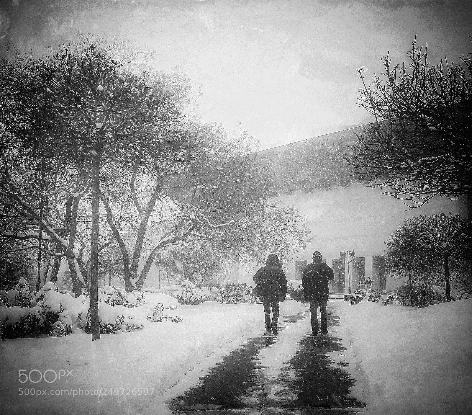 HUAWEI P8 Lite sample photo. Winter in b&w photography