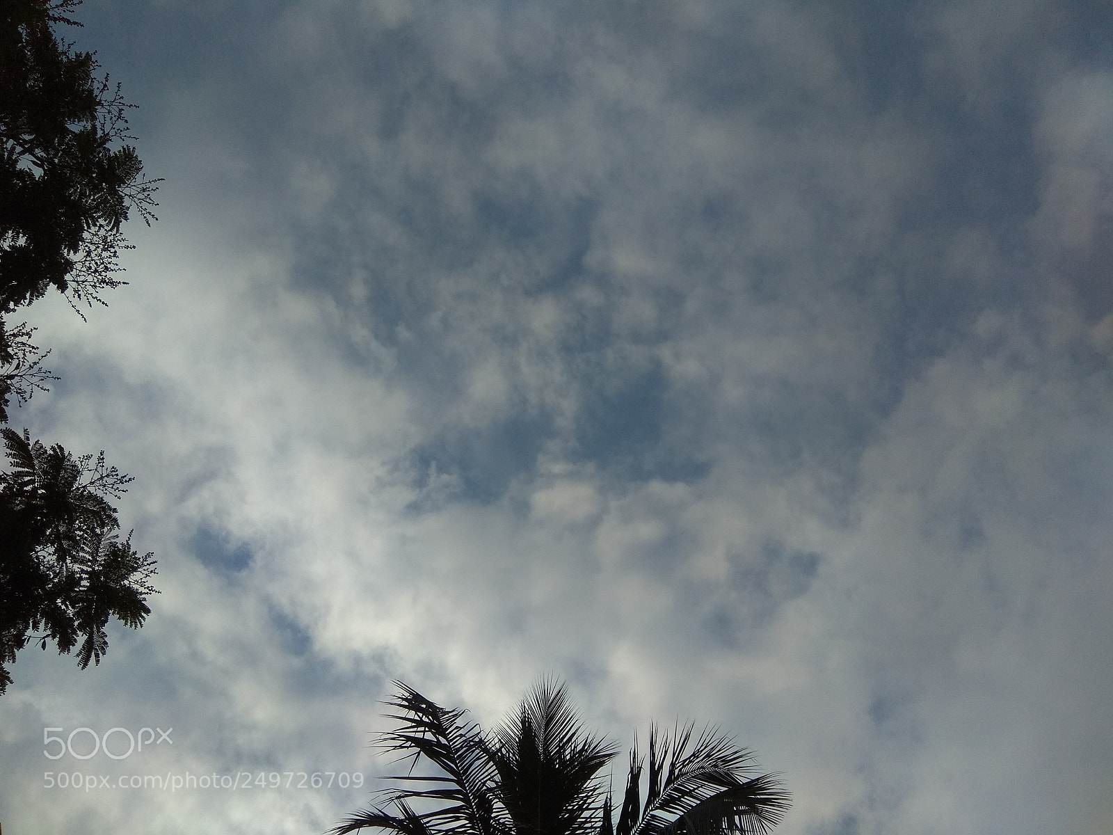 Xiaomi Redmi Note 4 sample photo. Just a beautiful start photography